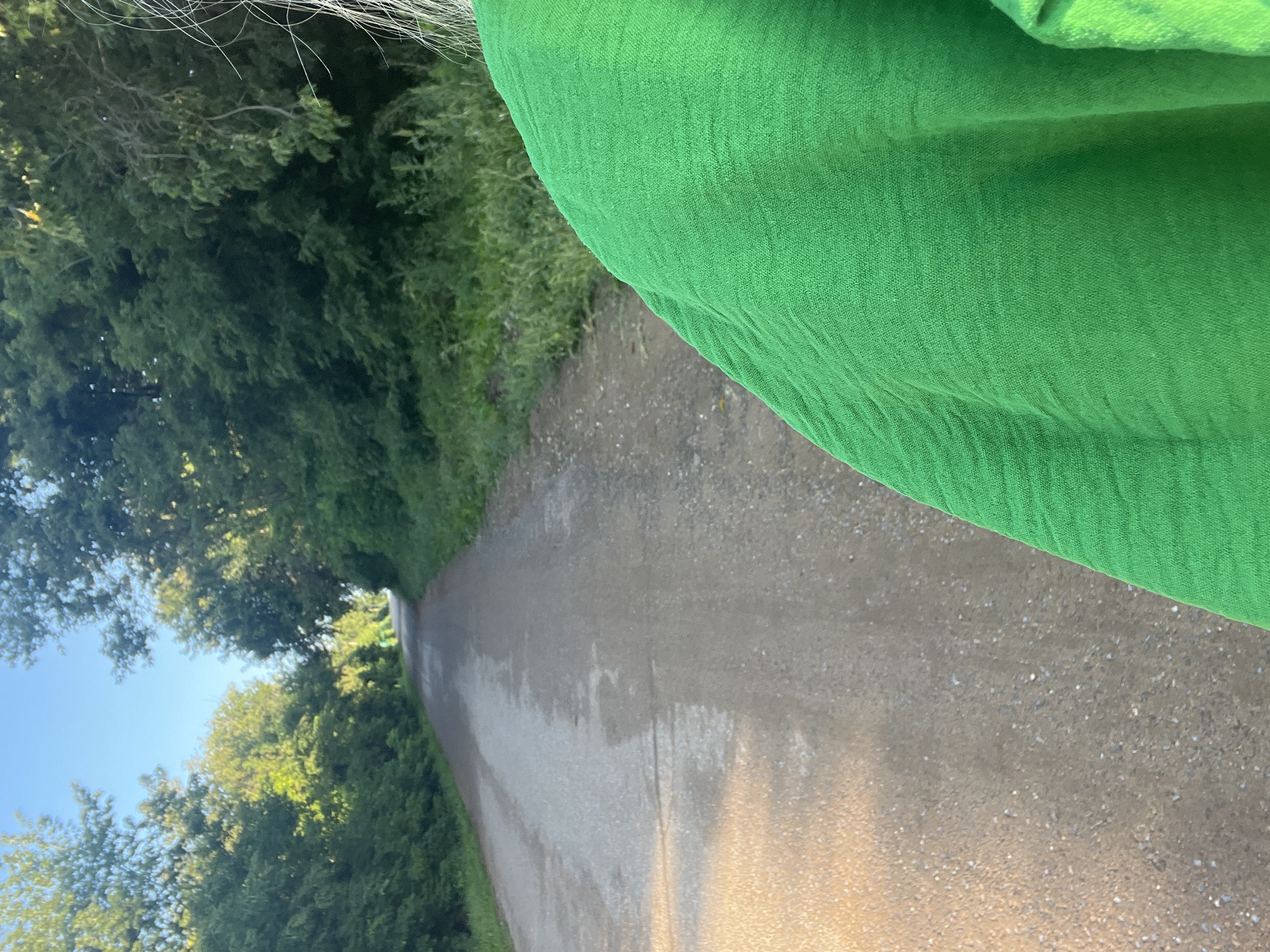 The image shows a dirt road lined with trees, with a person's shoulder and arm visible in the foreground, wearing a bright green top. The road appears to be in a rural or semi-rural setting, possibly a park or nature trail, given the dense foliage on either side. The sky is clear and blue, indicating a sunny day. The lighting suggests it is either early morning or late afternoon, with sunlight casting a warm glow on the road. The image does not contain any specific landmarks or identifiable features that would allow for pinpointing a location within Blagoveshchensk, Russia, or any other city. The person in the foreground is not fully visible, and no actions or interactions are discernible.
