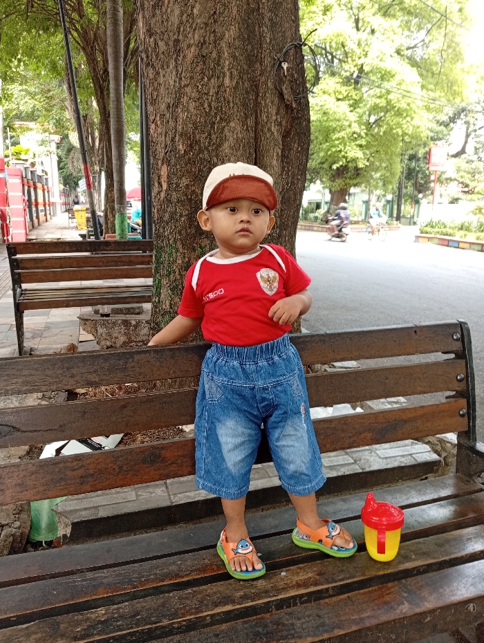 Memory