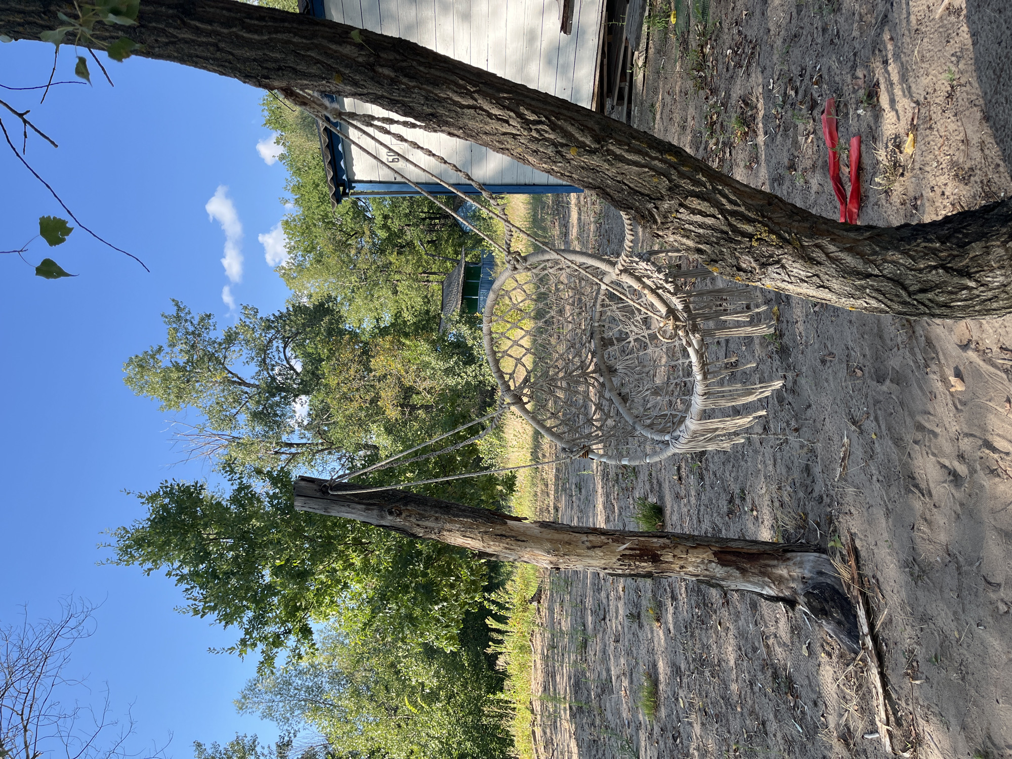An outdoor scene depicts a netted hammock chair hanging from a thick rope between a dead tree trunk and a live tree. The ground is covered in sand and sparse vegetation. In the background, a white building with blue trim is visible, along with a smaller green structure. The sky is blue with scattered clouds, and trees surround the area. The image does not provide any specific information about the city of Saratov, Russia, nor does it depict any people or actions.