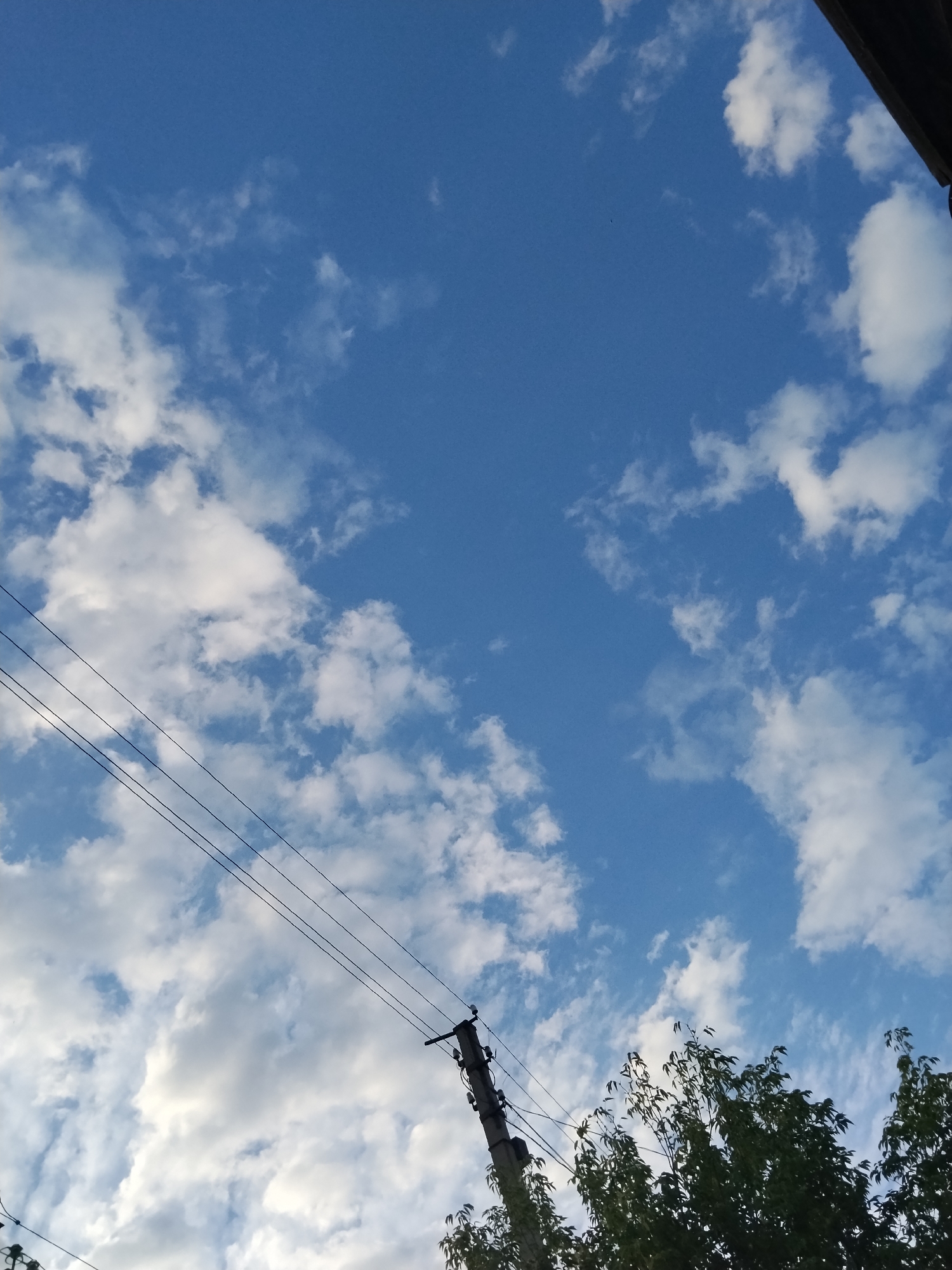 The image shows a bright blue sky with scattered white clouds. In the lower left quadrant, there are three parallel black wires stretching diagonally across the frame. To the right of the wires, a portion of a concrete utility pole is visible, supporting the wires. In the lower right corner, the dark green foliage of trees is present. The scene appears to be an outdoor, urban environment in Kokshetau, Kazakhstan, likely captured during the daytime.