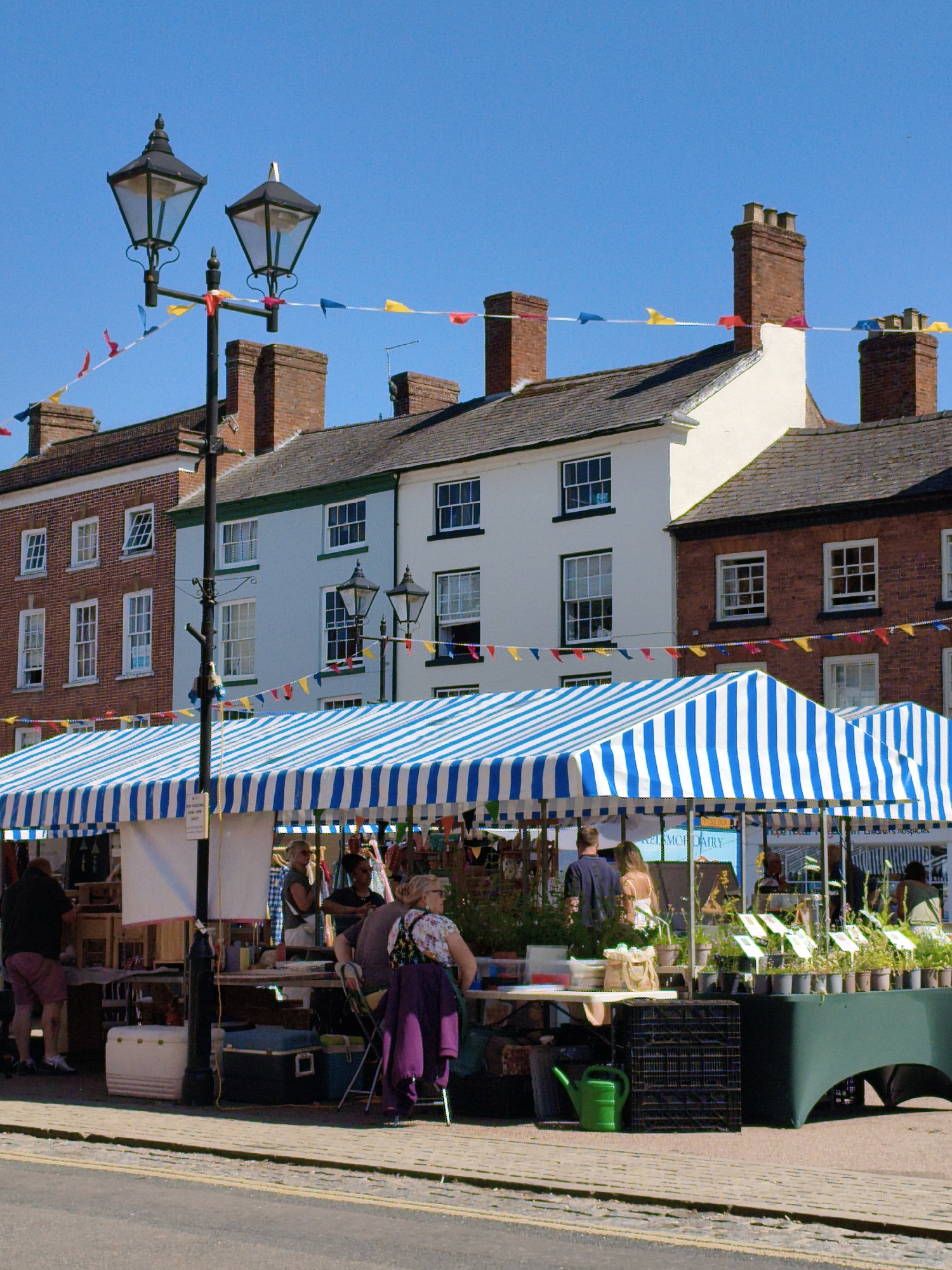 This is a wide-angle, eye-level shot of a market stall in Ludlow, United Kingdom. The stall is covered by a blue and white striped awning. In front of the stall, several people are browsing or working. A man in a black shirt and maroon shorts stands on the left, facing away from the camera. To his right, a woman with blonde hair is visible behind the stall. Further right, a woman with blonde hair tied up in a bun is wearing a floral top and a purple jacket. Several potted plants are displayed on a green table to the right of the stall. The background consists of a row of traditional brick buildings with white window frames. A lamppost with two lamps stands in the foreground, adorned with colorful triangular bunting. The sky above is clear and blue. The market appears to be set up on a paved street.