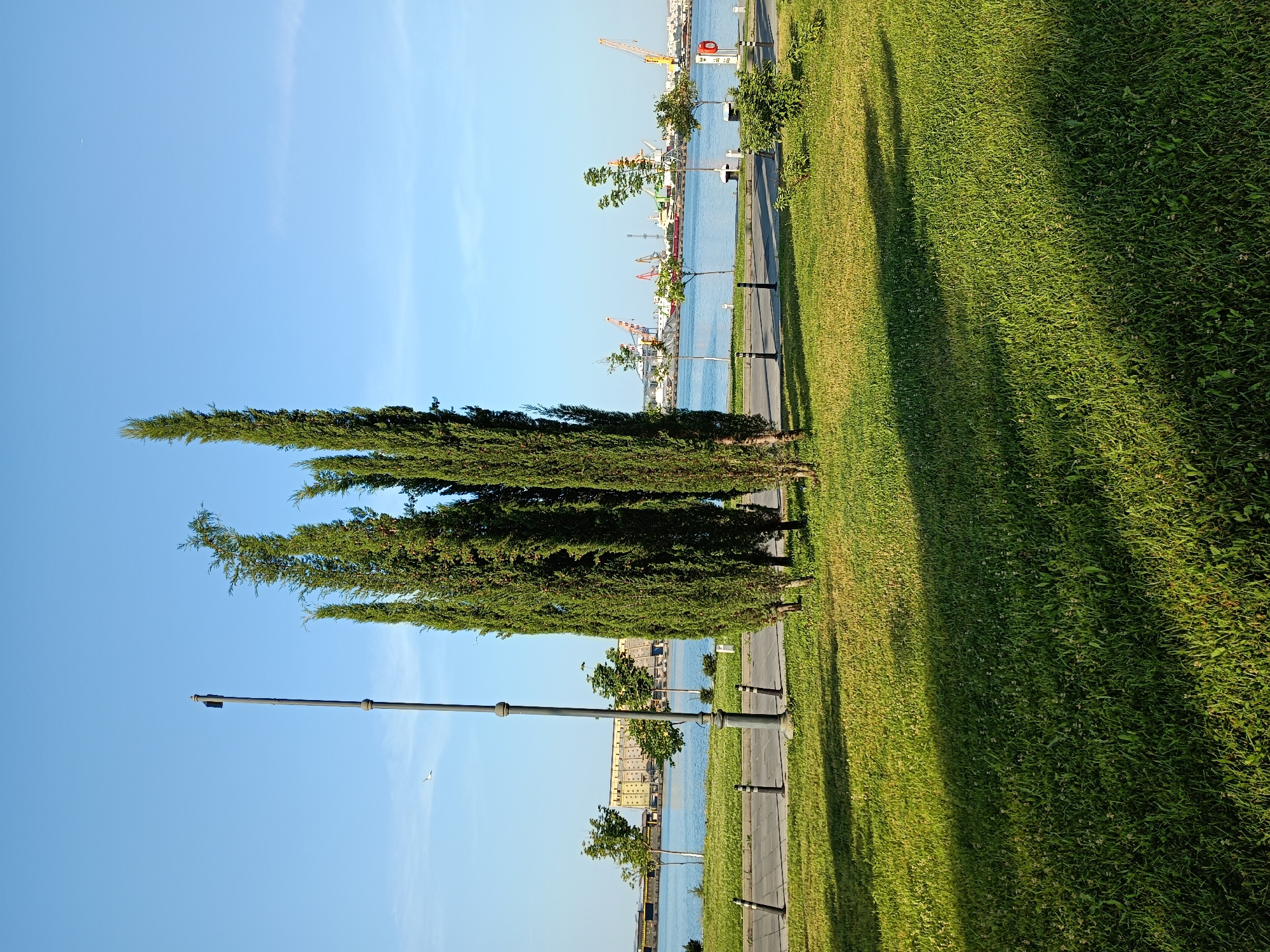 This image captures a serene waterside scene in Burgas, Bulgaria, likely along the Sea Garden's promenade. The foreground is dominated by a vibrant green lawn, casting long, soft shadows from unseen trees. A paved walkway runs parallel to the lawn, bordered by a low fence and bollards. Beyond the walkway, a calm blue body of water stretches towards the horizon. On the opposite side of the water, a bustling port is visible, with various cargo ships, cranes, and industrial buildings under a clear blue sky. A solitary, tall lamppost stands prominently on the left side of the frame, near a cluster of slender, evergreen trees. A faint white contrail from an aircraft is visible in the upper left portion of the sky. The overall impression is one of peaceful coexistence between nature and industrial activity.