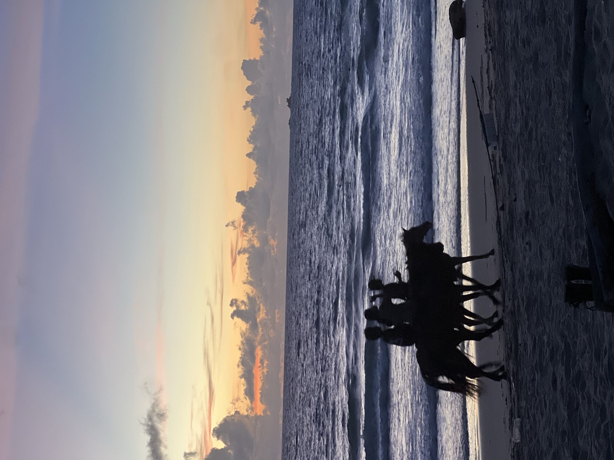 This is a vertical, silhouetted photograph of a group of people riding horses on a beach during sunset. The sky transitions from a pale purple and blue on the left to a warm orange and yellow on the right, with scattered clouds. The ocean on the right is a deep blue, with gentle waves lapping at the shore. The sand appears dark and wet from the tide.
The main subjects are the horses and their riders, all rendered as dark silhouettes against the bright sky and water. The horses are in motion, some appearing to be trotting or galloping. The riders are mostly obscured, but their postures suggest they are actively engaged in riding. In the distance, there is a faint outline of land or a small island.
The time of day is clearly sunset, indicated by the colors in the sky. The weather appears calm and pleasant, with the ocean being relatively smooth. The setting is a beach, likely a tropical or temperate location given the presence of the ocean and the clear sky. There are no discernible objects or structures in the foreground or midground, besides the horses and riders, and a faint indication of some small debris on the sand near the water's edge. A dark, indistinct object is visible in the far right of the frame, possibly a piece of equipment or debris on the beach. The overall mood conveyed is serene and perhaps adventurous, with the natural beauty of the sunset providing a dramatic backdrop to the activity. No text is visible in the image.