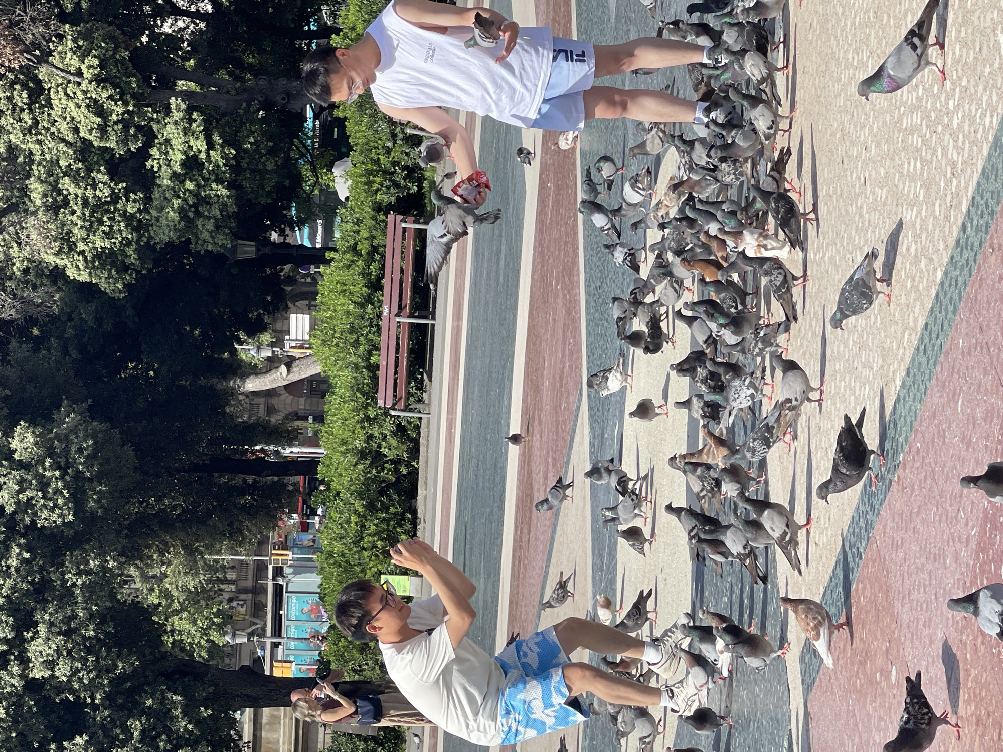 Two young men are in an outdoor square, likely in Barcelona, Spain, feeding a large flock of pigeons. The ground is paved with a mosaic of colored stones in shades of red, beige, green, and grey. Lush green trees and bushes line the perimeter of the square, and a park bench is visible in the background. The sun is shining brightly, casting long shadows, suggesting it is a sunny day, likely daytime.
One man, wearing a white sleeveless t-shirt and blue patterned shorts, is actively feeding the pigeons from a small packet held in his hand. Several pigeons are gathered around him, with one mid-air, its wings spread as it reaches for food. This man appears engaged and focused on feeding the birds.
The second man, also wearing a white t-shirt and light-colored shorts, is to the right of the first. He is holding a phone or camera in his hands and appears to be taking pictures or a video of the scene. He is looking down, presumably at the birds or his device.
The overall atmosphere seems relaxed and enjoyable, with the men interacting with the birds in a public space. The scene is lively due to the numerous pigeons actively seeking food. Text is visible on the first man's t-shirt, reading "ORIGINALS" and "FILA".