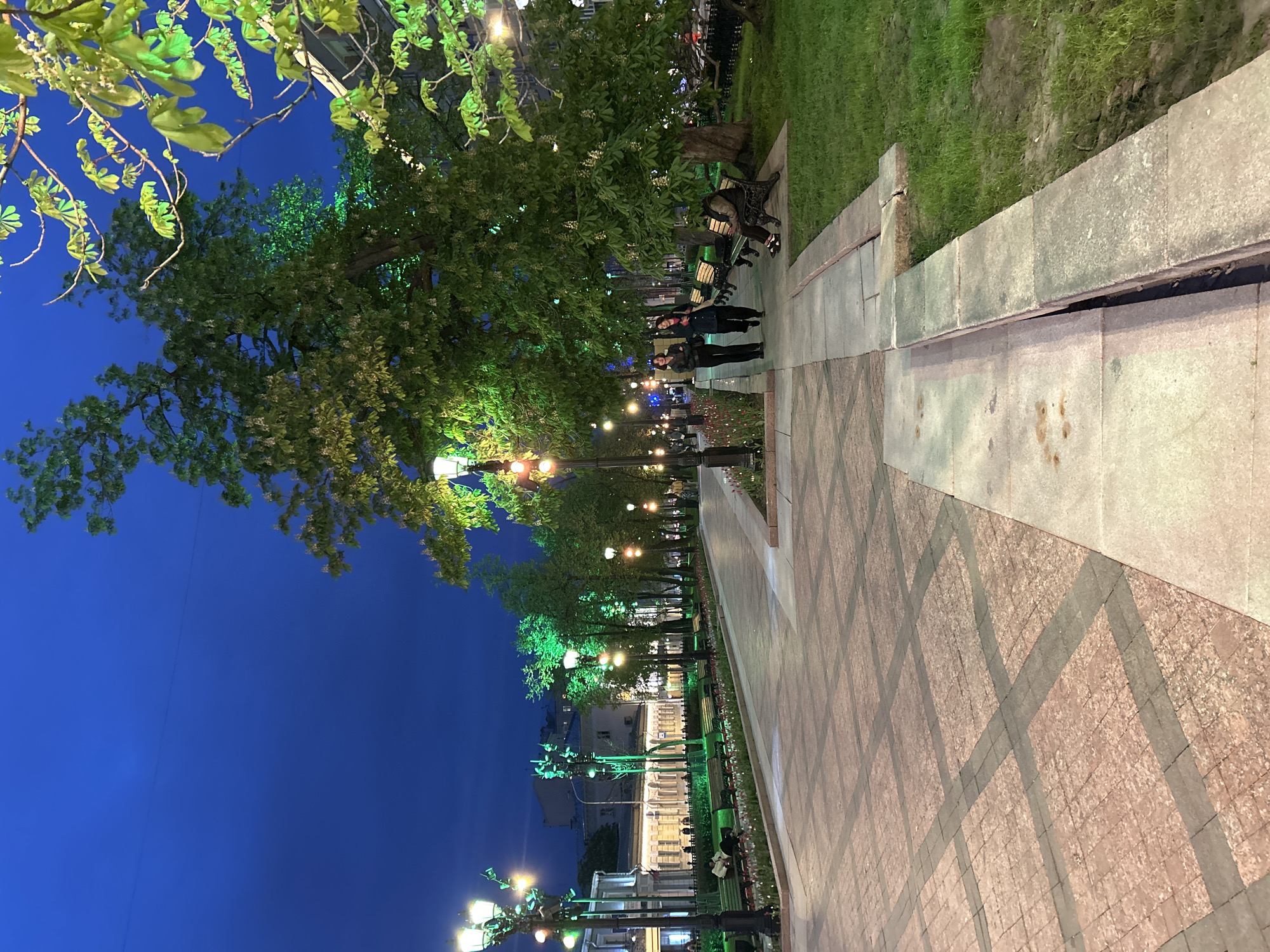 The image depicts a nighttime scene in a park or plaza in an urban environment. The ground is covered with patterned tiles. A line of trees with green foliage runs along the left side of the image, illuminated by streetlights. Several people are standing and sitting on benches along the pathway. Grass and foliage are visible on the right side. The sky is a deep blue. The location is Unknown, Unknown.