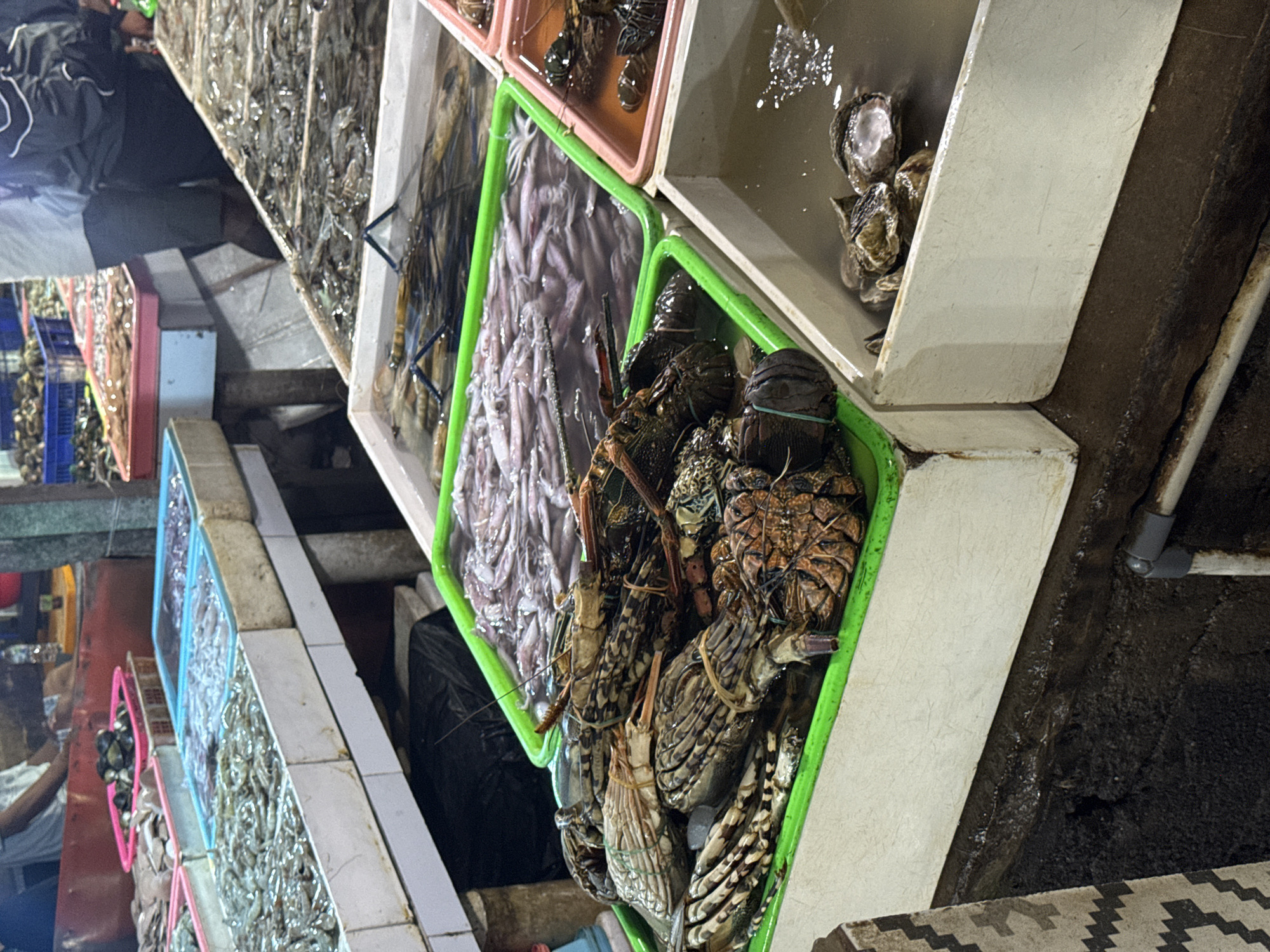The image depicts a bustling seafood market stall, likely in Kuta, Indonesia, as indicated by the provided context. The photograph is oriented on its side, showing a long display of fresh seafood laid out in various containers.
The central focus is on an array of live or very fresh seafood. Prominently featured are several large spiny lobsters, their claws secured with rubber bands, submerged in water within a bright green plastic tub. Next to them, another green tub contains a substantial quantity of pale squid or cuttlefish, also kept in water. Along the market counter, numerous white, pink, and blue containers are filled with countless shrimp or prawns, shimmering under the artificial light. In the upper right section, a white tray holds oysters or clams.
Two individuals are partially visible. In the upper left, a person wearing a dark jacket is seen standing, partially obscured. Another person's arm and torso, clad in a light-colored shirt, appear in the lower left, possibly a customer or another vendor.
The setting appears to be an indoor market or a night market due to the artificial lighting that highlights the produce. The ground beneath the stall is dark and appears damp, consistent with a fresh food environment. The seafood is meticulously displayed in water-filled plastic tubs of various colors—green, white, pink, and blue—suggesting efforts to keep the catch fresh. There is no visible text in the image, and the overall atmosphere reflects a busy commercial environment focused on the sale of fresh seafood.