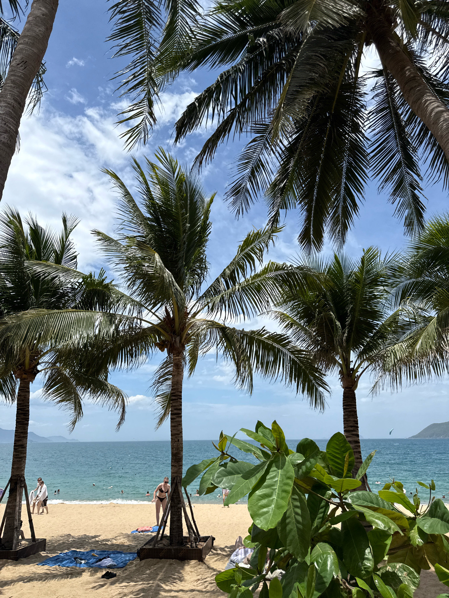 The image depicts a sunny day at a beach in Nha Trang, Vietnam, likely part of the main city beach area, characterized by its long stretch of sand and clear blue water. In the foreground, several tall palm trees with lush green fronds frame the scene, with their trunks supported by wooden structures. The sandy beach is populated with a few people. On the left, a couple stands near the water's edge, with the man in a white shirt and the woman in a dark swimsuit. Another woman in a black bikini is visible further to the right, standing near a palm tree. Several other individuals are scattered across the sand and in the shallow water, some swimming and others relaxing. A blue towel with clothing and sandals is laid out on the sand in the foreground. The ocean is calm with small waves, and in the distance, the coastline with mountains is visible under a bright blue sky with scattered white clouds. A kite surfer is visible in the far right of the image in the ocean. The overall atmosphere is relaxed and tropical, suggesting a popular tourist destination.