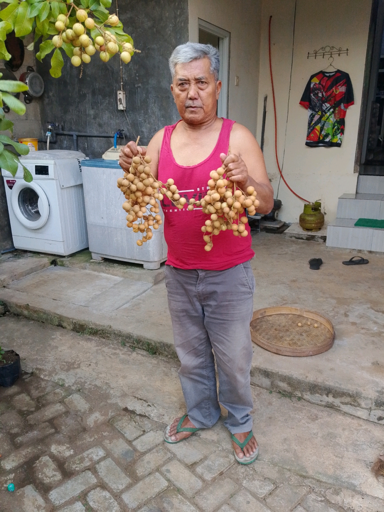 An older man with graying hair stands in what appears to be a yard in Maron, Indonesia. He is holding two bunches of rambutan fruit. The man is wearing a red tank top and gray pants. Behind him are two washing machines, a propane tank, and a colorful t-shirt hanging on the wall. The ground is paved with concrete and brick. The overall impression is that of a residential backyard.