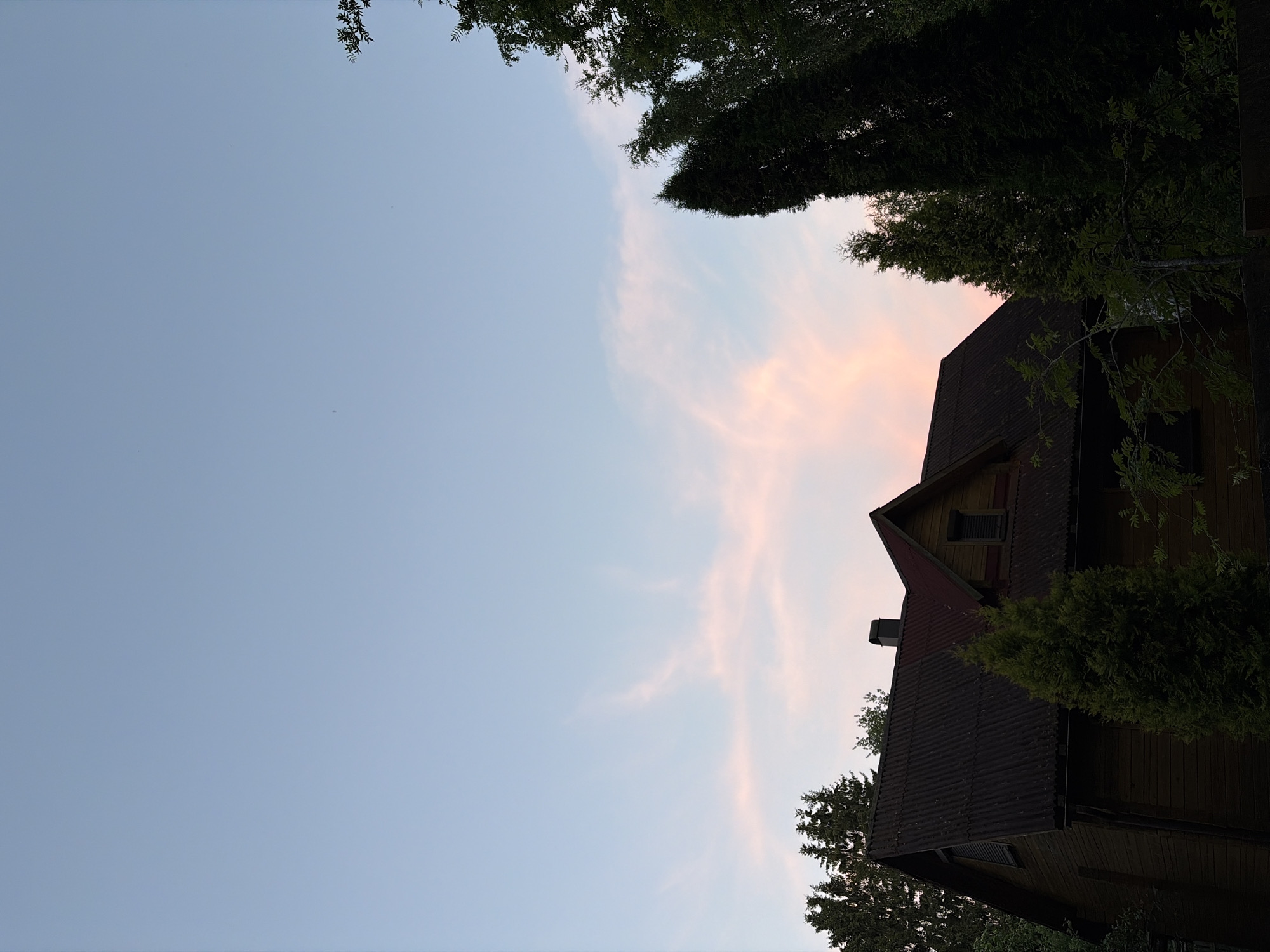 A wooden house with a dark, corrugated roof is visible from the side, partially obscured by tall, dark green evergreen trees. The house has a chimney and a visible window with louvers. The sky above is a soft blue, with faint wisps of pink clouds. The image appears to be taken at dusk or dawn. The setting is outdoors, possibly in a residential area or rural location.