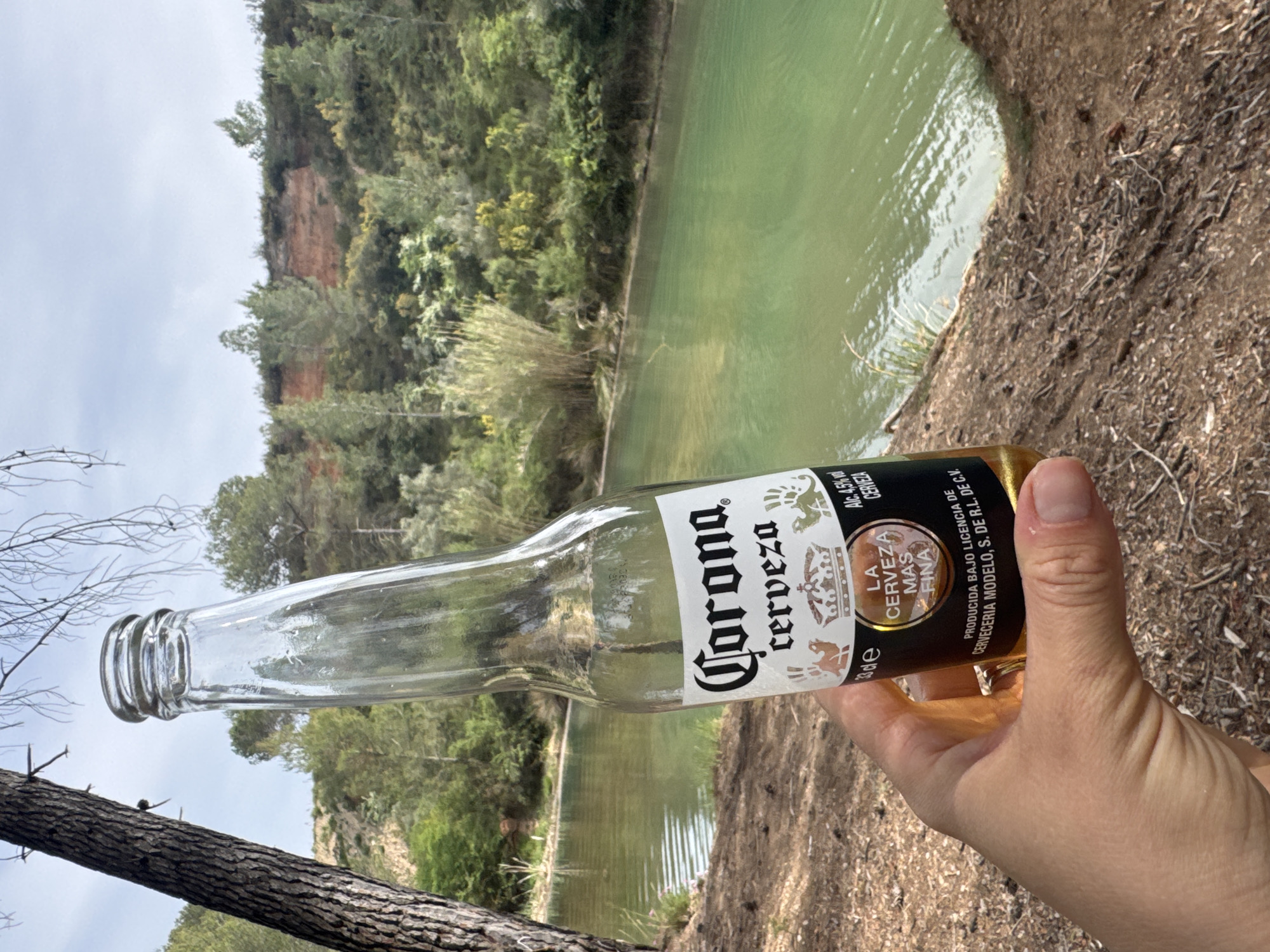 A right-handed person holds a Corona beer bottle against the backdrop of the Salto de la Novia waterfall in Jérica, Spain. The bottle is almost empty, with only a small amount of beer remaining. The bottle is angled slightly upwards, with the label visible. The backdrop includes a green body of water, likely the river, and the rocky terrain of the waterfall area covered with trees and bushes. The sky is overcast. A tree branch is visible in the lower left.
