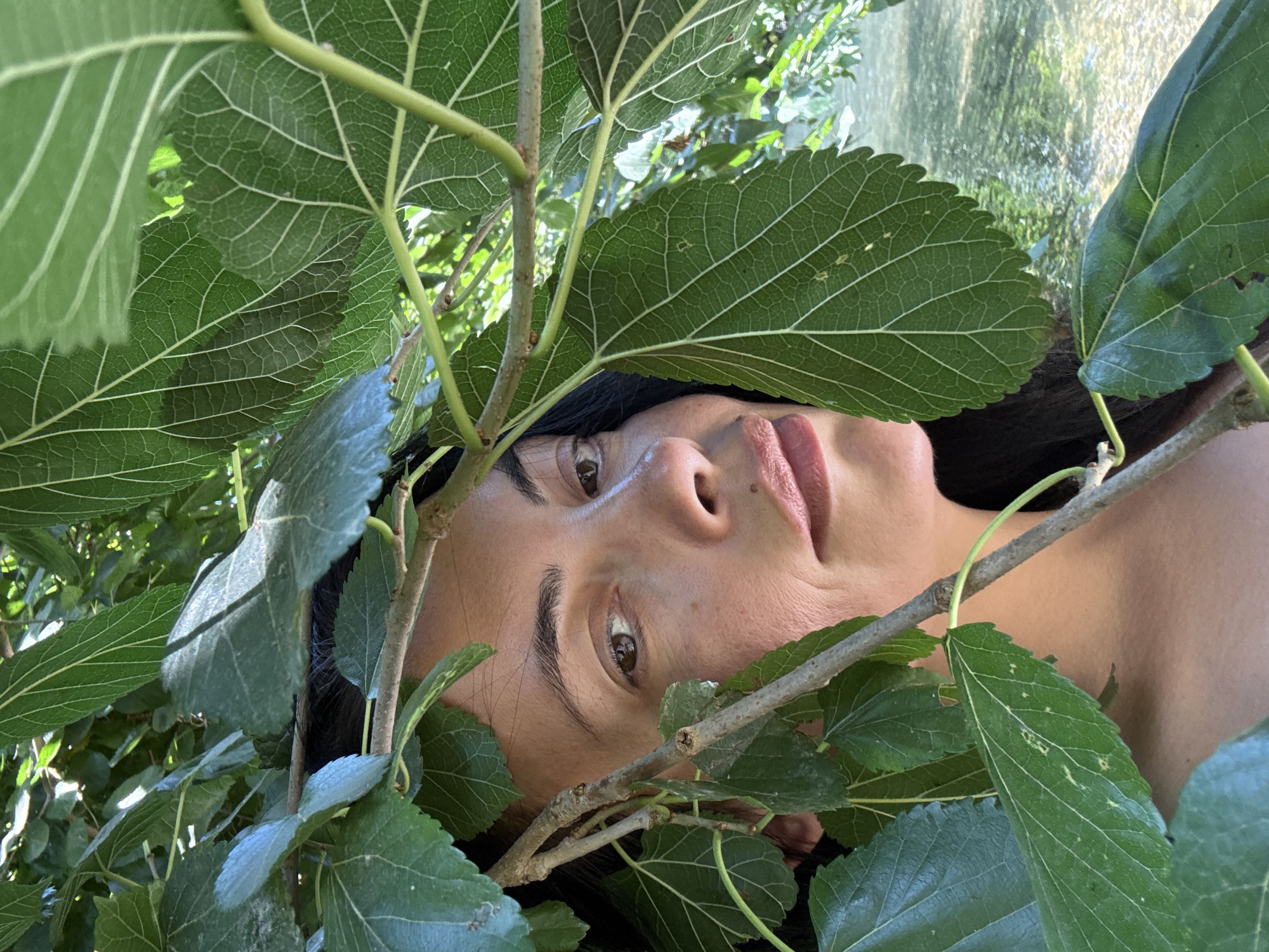 A close-up, eye-level shot shows a woman's face partially obscured by lush green foliage. She has dark hair and is looking slightly to her right. Her skin is fair, with freckles visible on her cheek. Her lips are slightly parted, and she appears to be wearing light lipstick. The leaves are large and have prominent veins, suggesting they are from a mulberry tree. Behind the foliage and the woman's face, a body of water, possibly a river or stream, is visible, reflecting sunlight and dappled shade. The environment suggests an outdoor setting, likely in a natural area. The image was taken in Mevoot HaHermon Regional Council, Israel.
