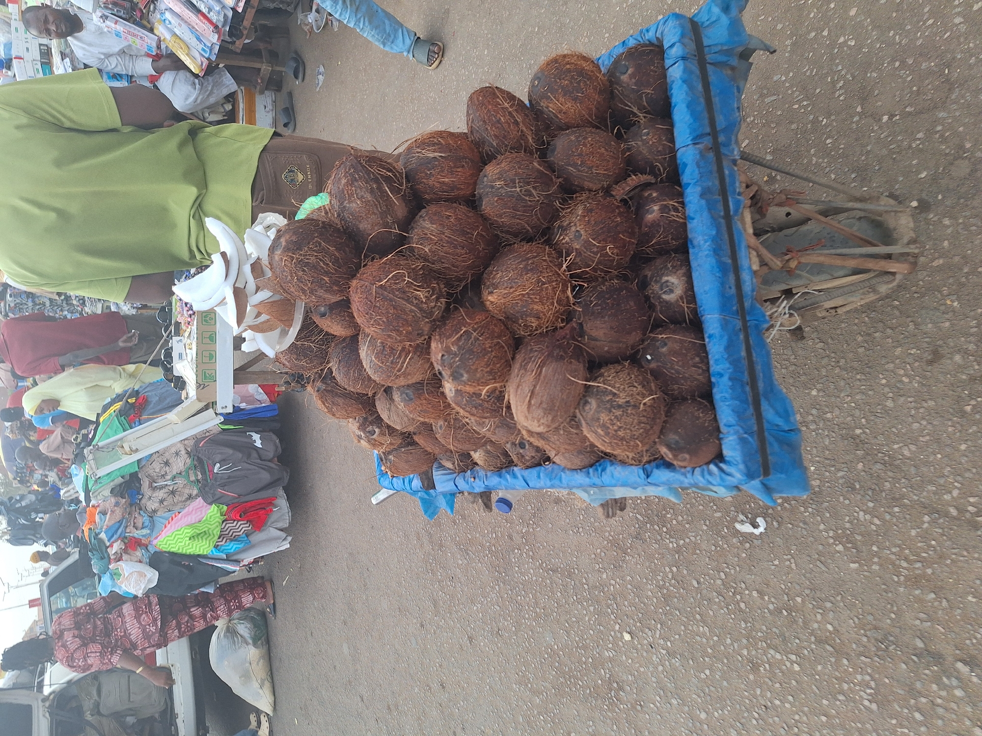 The image depicts a scene in Sabon Tasha, Nigeria, showing a pile of coconuts loaded in a blue, cloth-lined wheelbarrow on a paved street. The coconuts are brown and hairy, tightly packed together. A man in a green shirt and brown pants stands beside the wheelbarrow. In the background, there are clothes and other goods displayed on tables. Other people can be seen in the background near the clothing and goods.