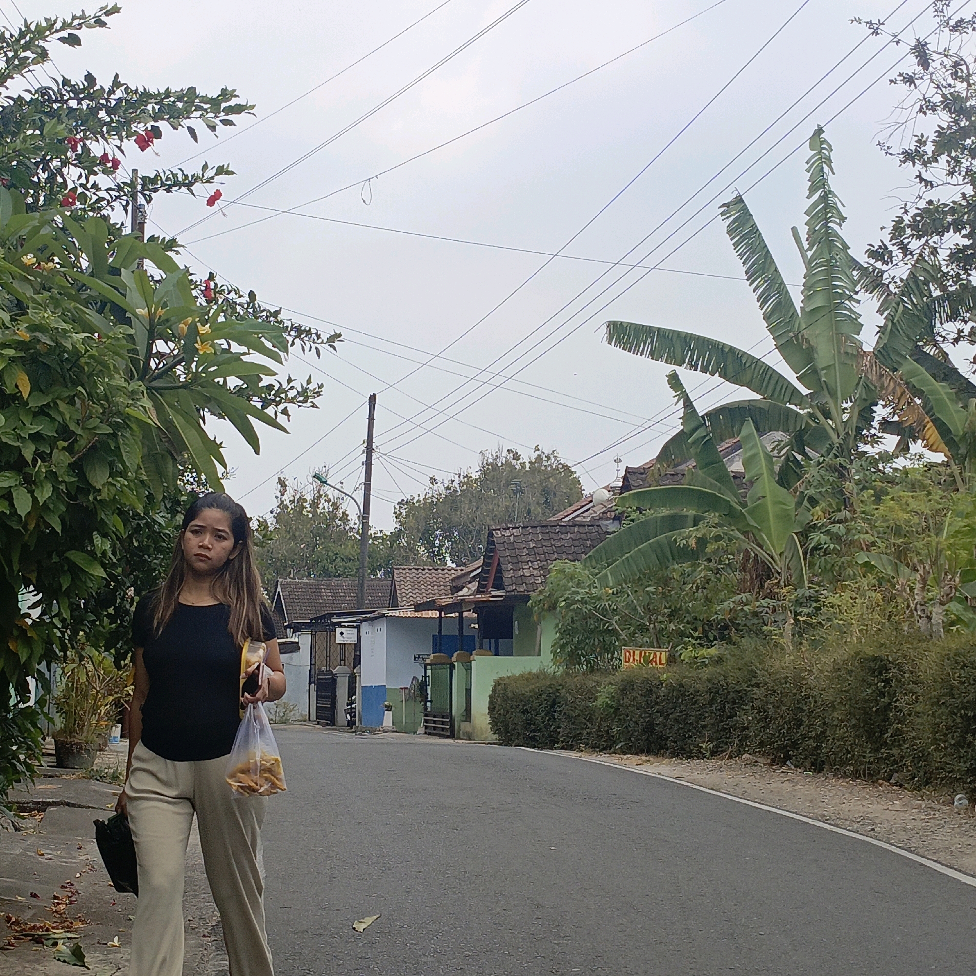 A full-shot, eye-level, outdoor photograph shows a woman walking on a paved road in a rural-like area. The woman is in the left foreground, facing right. She has long brown hair and is wearing a black t-shirt and beige pants. She is holding a clear plastic bag filled with food in her right hand and a black bag in her left. Behind her, on the left, is a lush green tree with red flowers. The road stretches ahead, curving to the right. On the right side of the road are houses with tiled roofs and dense green bushes. Power lines are visible crisscrossing the sky. The sky is overcast. A yellow sign with red lettering is visible on the right side of the road, reading "DI JUAL". The scene appears to be in Salatiga, Indonesia, given the architectural style and vegetation.
