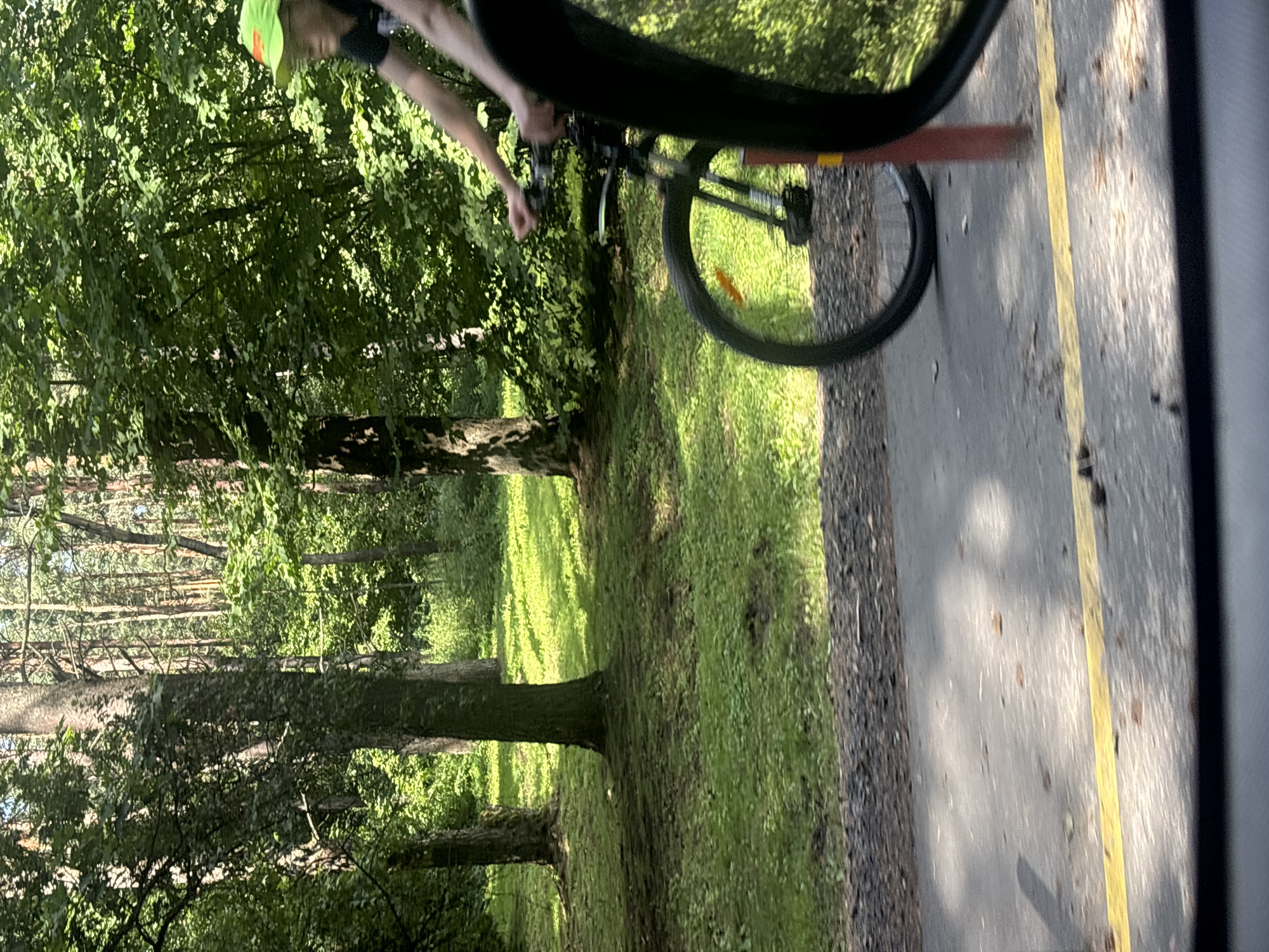 In an outdoor scene within the Ждановіцкі сельскі Савет, Belarus, a person is riding a bicycle on a paved path. The individual, wearing a bright neon green cap and a dark t-shirt, is seen from the side, with their body blurred due to motion. The bicycle is black with a visible orange reflector on the front wheel. The path is bordered by a yellow line on the right side and a gravelly shoulder on the left. Behind the path, a grassy area is visible with several mature trees. Further in the background, a dense forest of tall trees with a canopy of green leaves fills the frame, suggesting a park or wooded area. Sunlight filters through the trees, creating dappled light on the grass and path. The image appears to be taken from a slightly elevated perspective, possibly from another moving vehicle, given the reflection in the foreground.