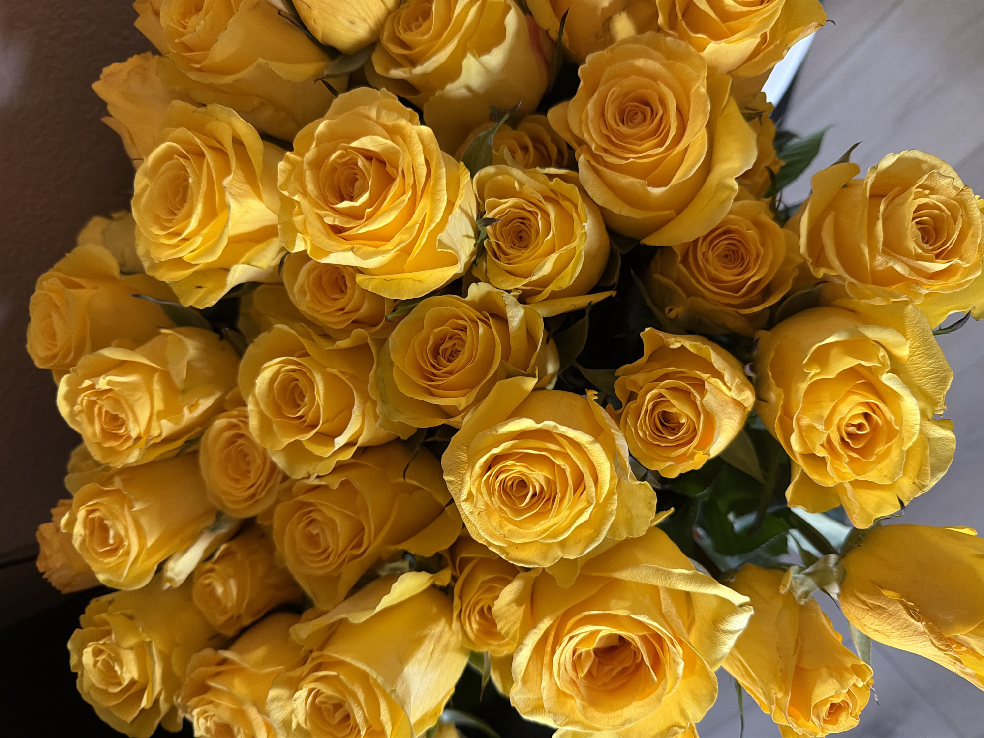 This is a close-up, overhead shot of a large bouquet of bright yellow roses. The roses are tightly packed together, with many in full bloom and others still partially closed. Their petals are a vibrant yellow, catching the light and creating a warm glow. Some roses have their centers visible, showcasing the delicate spiral of their petals. The stems and some green leaves are visible beneath the blooms, adding a touch of contrast. The background is dark and slightly blurred, drawing all attention to the flowers. The scene is captured in natural lighting, likely daylight, which accentuates the rich color of the roses. There are no people or other objects present in the image. The image is a still photograph.