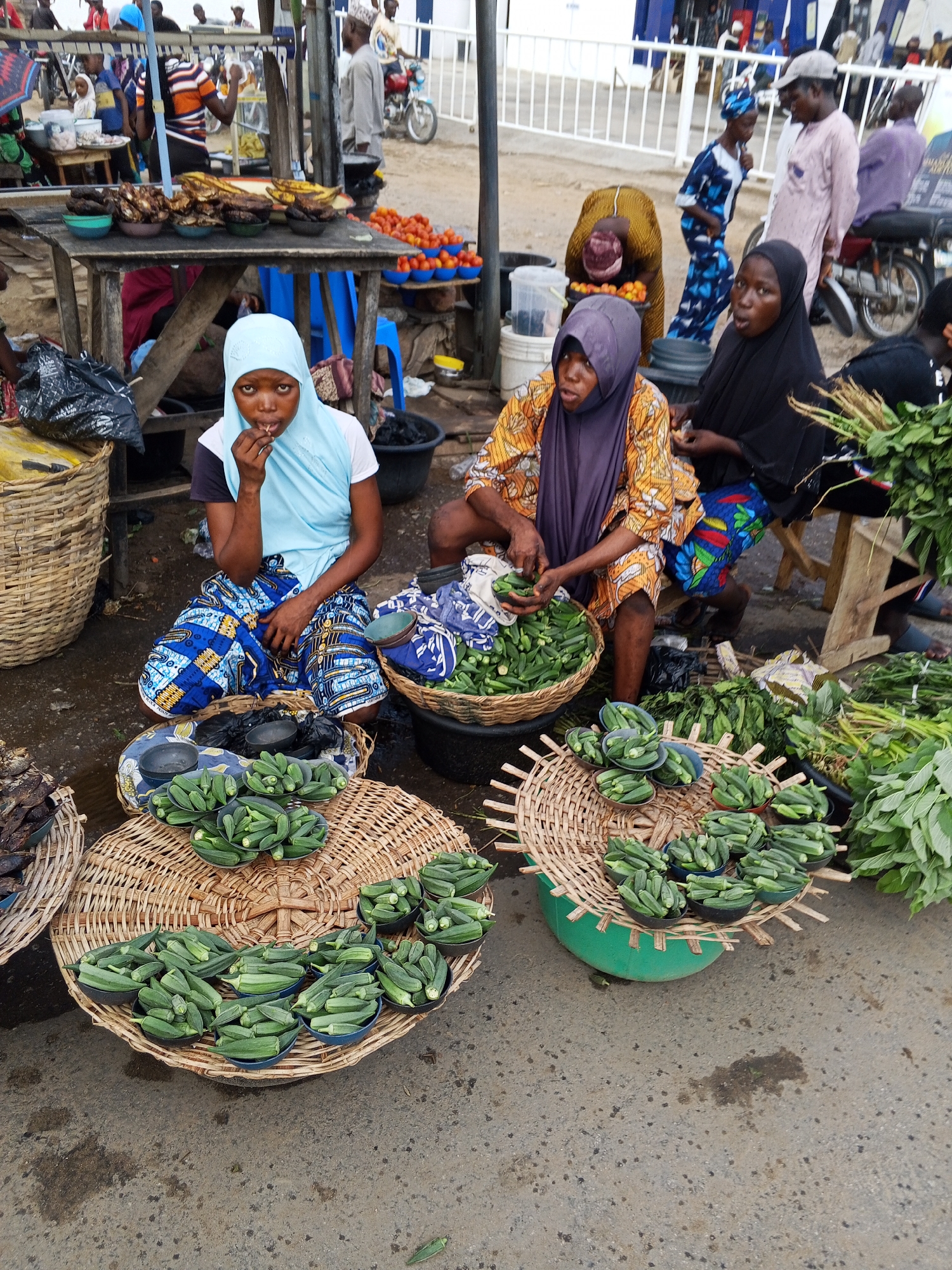 This vibrant image depicts a bustling outdoor market scene in Zango-ndaji, Nigeria. The ground is a rough concrete or asphalt surface, indicative of a busy public space.
In the foreground, three women, likely vendors, are seated on the ground or low stools. On the left, a young woman wearing a light blue hijab and a patterned blue and white skirt looks directly at the viewer, her hand near her mouth. Next to her, a woman in a purple headscarf and an orange patterned top is actively sorting or preparing fresh green okra from a large woven basket. To her right, another woman, wearing a black hijab and a colorful skirt, is also seated, focused on her tasks.
The market stalls prominently feature fresh produce. Numerous small black bowls, each brimming with vibrant green okra, are meticulously arranged on large, round woven baskets in the foreground. To the right, large bunches of leafy green vegetables are displayed. A wooden table in the mid-ground holds multiple blue plastic bowls filled with bright red tomatoes, alongside other bowls containing what appear to be smoked fish or prepared food, and bananas.
The background reveals a lively environment with many people moving about, suggesting active commerce. Figures include men and women, some blurred by motion. A man in a light-colored cap and shirt is visible on the right. Several motorcycles are present in the distance, indicating common transportation. A white metal railing spans the mid-background.
The natural, soft lighting suggests it is daytime, likely morning or early afternoon. The atmosphere is one of dynamic market activity, with vendors focused on their goods amidst the daily flow of customers. No discernible text is visible within the frame.