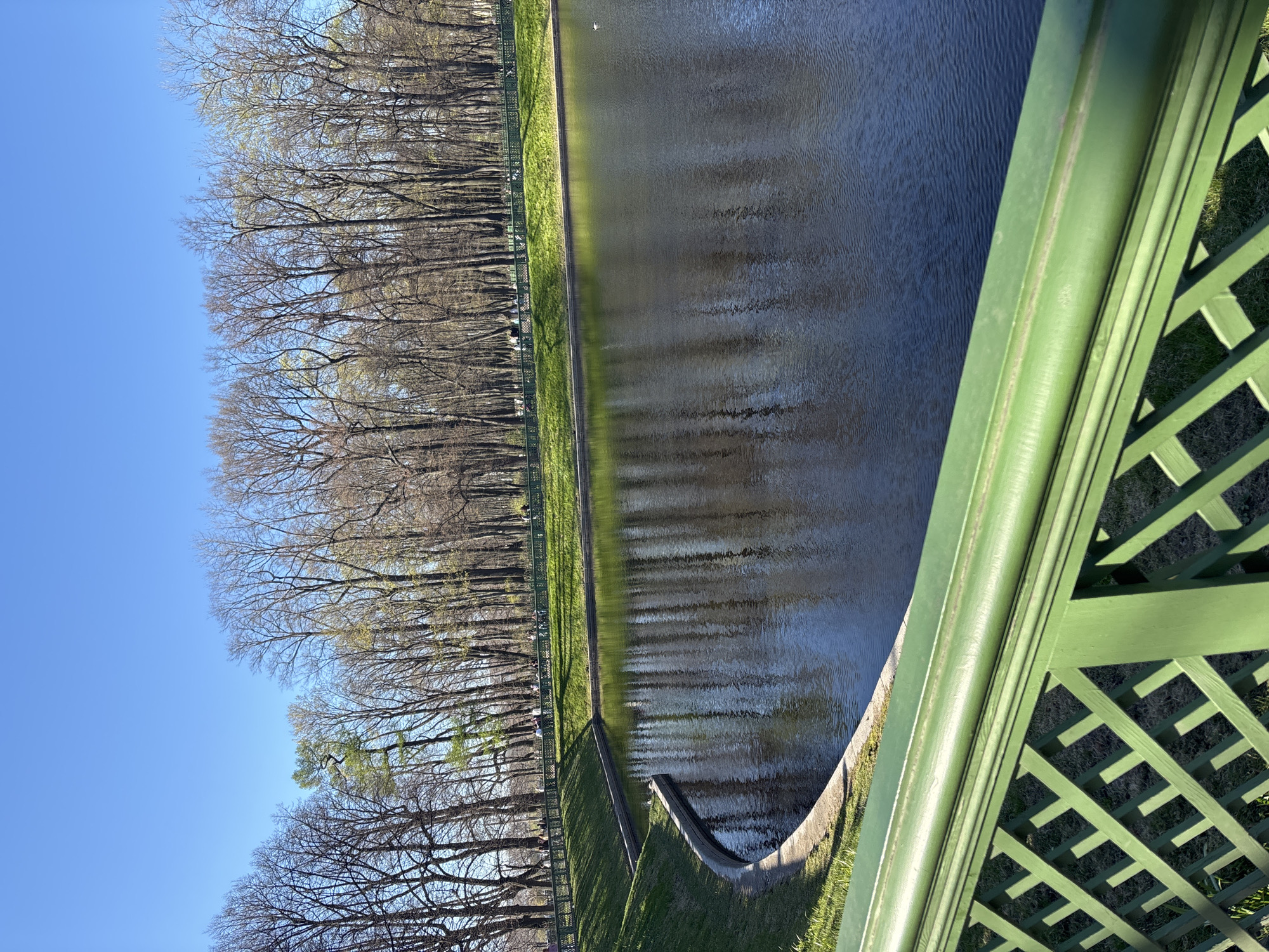 The image depicts a view from a bridge with a green lattice railing overlooking a canal or pond in Saint Petersburg, Russia. The water reflects the clear blue sky and the line of leafless trees that border the opposite bank. A narrow strip of green grass separates the trees from the water. A small concrete structure descends into the water. The perspective of the shot is slightly skewed, with the bridge railing dominating the right side of the frame.