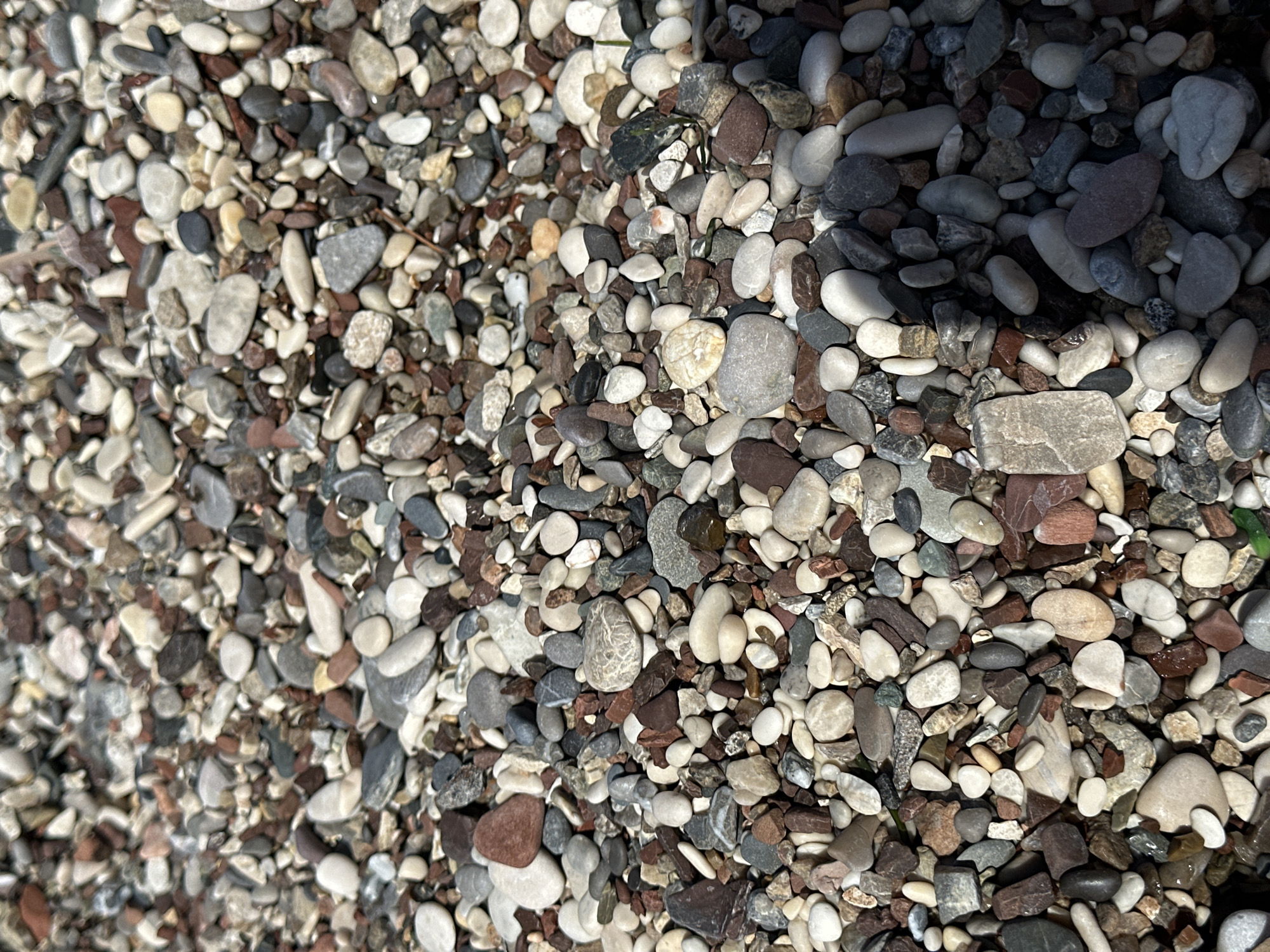 The image shows a close-up of a pebbly beach. The pebbles vary in size, shape, and color, ranging from white and gray to brown and reddish hues. Some pebbles are smooth and rounded, while others are more angular. The left side of the frame is slightly brighter than the right side, which is partially in shadow. There are no people or other distinct objects visible in the image. The location is presumed to be a beach in Budva, Montenegro.
