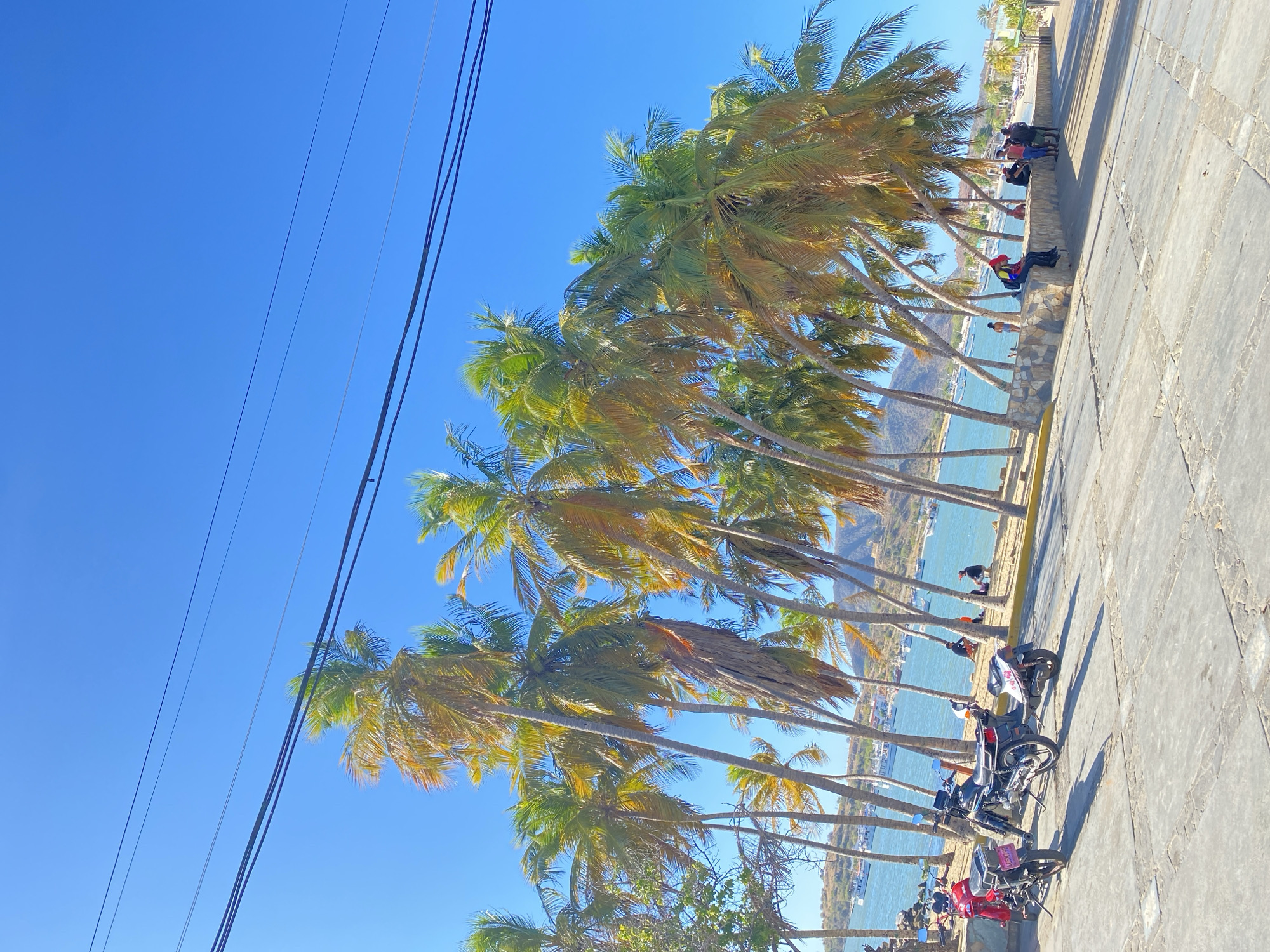 The image depicts a sunny coastal scene in Juan Griego, Venezuela. The foreground features a concrete paved area, displaying visible seams and minor wear. Three motorcycles are parked on this surface: a red one with a pink license plate "ACSN78E", a black one, and a white scooter. Beyond the paved area, a low stone-clad wall separates it from a narrow sandy beach.
Numerous tall palm trees with green and yellowing fronds lean towards the water, casting shadows on the ground. Several individuals are present on the sandy beach; some are seated, while others stand near the water's edge. A group of approximately five individuals stands near the stone wall on the right; one person in this group is seated on the wall, wearing a red hat and a multi-colored shirt.
The middle ground shows a calm body of water, likely a bay, with multiple small boats anchored or moored. In the background, arid hills or mountains rise under a clear, bright blue sky. Overhead, a series of dark electrical wires traverse the upper portion of the frame. The scene is illuminated by direct sunlight, indicated by distinct shadows.