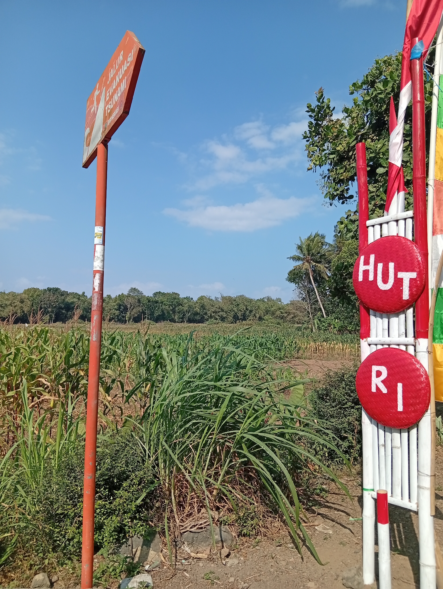 In the city of Miritpetikusan, Indonesia, a bright, clear day unfolds under a blue sky dotted with wispy clouds. In the foreground, a red signpost with white lettering reads "JALUR EVAKUASI TSUNAMI," indicating a tsunami evacuation route. Adjacent to it, a bamboo structure adorned with red and white flags stands tall. Two circular red signs with white text, "HUT" and "RI," are affixed to the bamboo pole.
To the left of the signpost, a vast field of green cornstalks stretches towards a dense line of trees in the distance. The ground is covered with dry earth and scattered stones, with a patch of lush green bushes near the base of the signpost. The overall scene suggests a rural or coastal area, potentially near a beach, given the tsunami evacuation sign. No people are visible in the image.