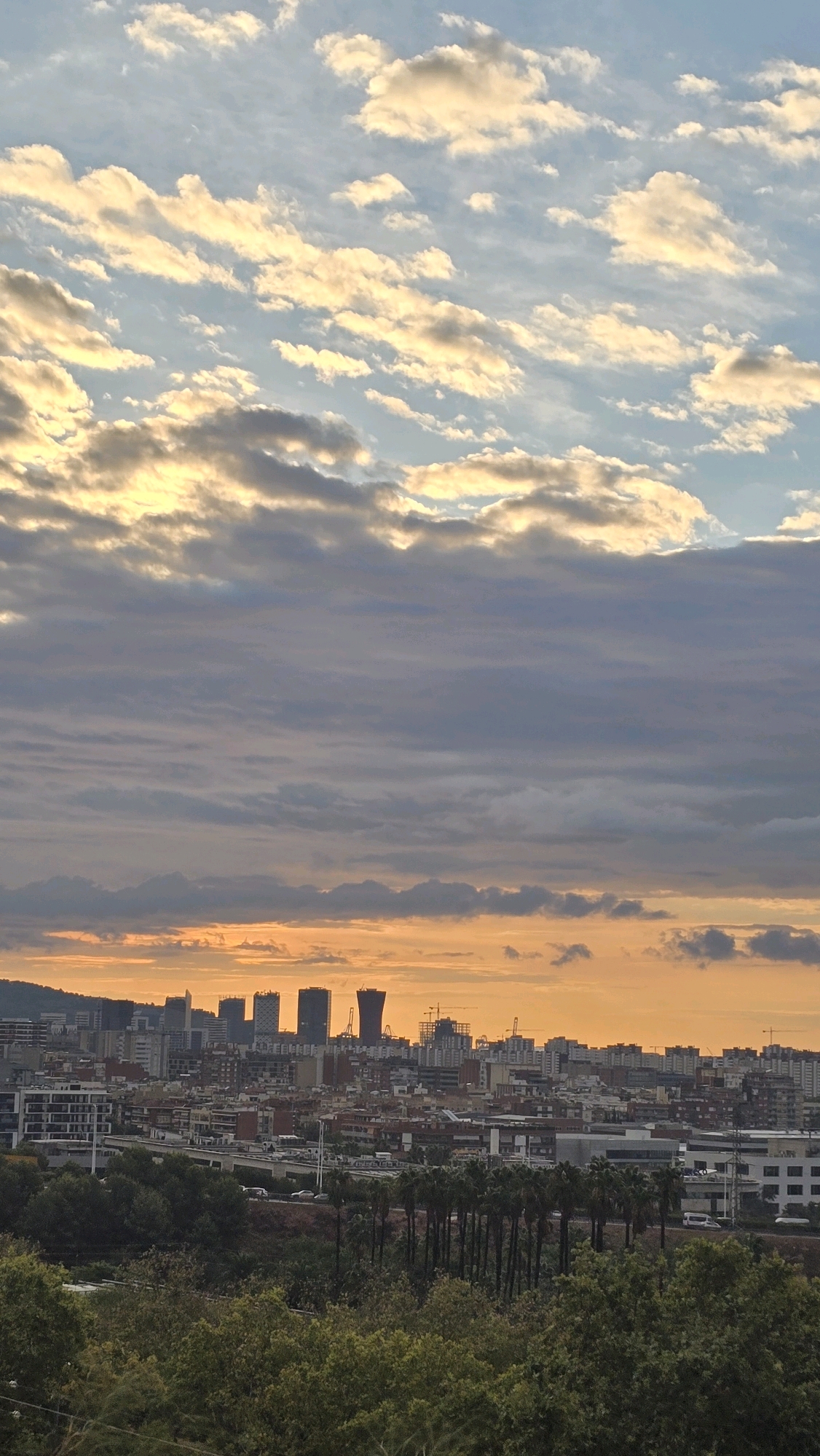 The image depicts a cityscape at dusk, likely Cornellà de Llobregat, Spain, given the distinctive skyline. The sky is a dramatic canvas of oranges and yellows near the horizon, transitioning to blues and grays higher up, with scattered clouds catching the last rays of sunlight. Below, a dense urban sprawl of buildings is visible, with a mix of residential and commercial structures. Several tall, modern buildings, some with distinctive architectural designs, punctuate the skyline. In the foreground, a lush area of trees and vegetation separates the viewer from the city. The overall scene conveys a sense of urban life at the end of the day, with the natural landscape providing a contrast to the built environment.