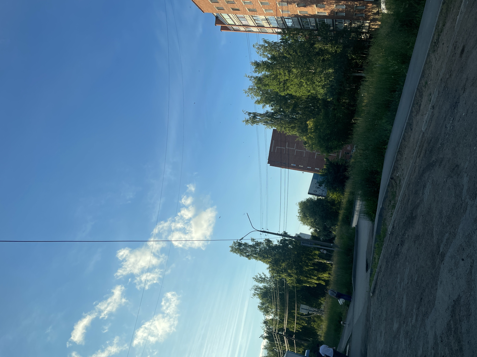 The image shows a street scene in Votkinsk, Russia. In the foreground, a dirt path slopes upwards, with a paved walkway running parallel to it. Beyond the walkway is a grassy area with tall weeds and scattered trees. In the mid-ground, several people are visible. On the left, two individuals are walking, one of whom appears to be accompanied by a small dog. Further to the right, another person is walking with two large white bags.
In the background, there are several tall apartment buildings constructed of red brick. Lush green trees are interspersed among the buildings. The sky is a clear blue with a few wispy white clouds. Power lines are visible crisscrossing the sky, supported by utility poles. One pole with a street lamp is prominent in the center left of the image. The overall impression is a residential area on a sunny day.