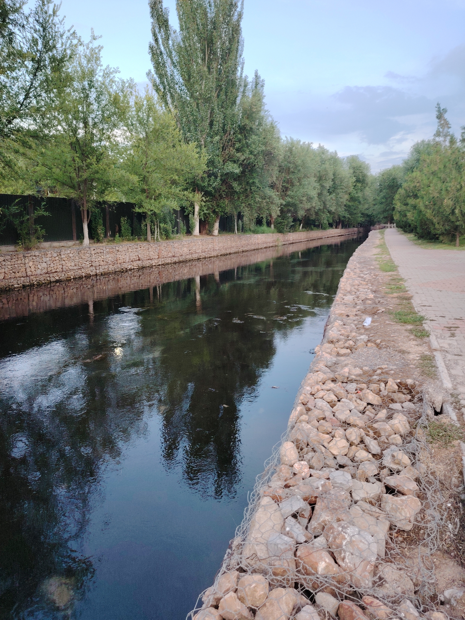 The image depicts a canal with stone-lined banks and a paved walkway alongside it. Tall trees line the canal on both sides, casting reflections on the dark water's surface. The sky is overcast with a few clouds. The scene appears to be in a park or a recreational area within the city of Shymkent, Kazakhstan, likely along the Sayran canal, which runs through the city and is known for its green spaces and walking paths. There are no people or animals visible in the frame. The overall environment suggests a calm, natural setting within an urban landscape.