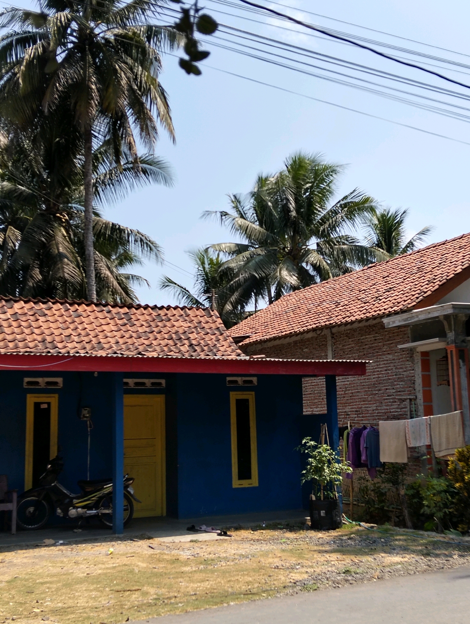 In Tipar, Indonesia, a scene unfolds under a clear blue sky, framed by the lush green of palm trees. Two houses stand side-by-side, their tiled roofs a warm terracotta against the vibrant blue facade of the left structure and the rough brick of the right. The blue house features bright yellow accents on its windows and doors. A motorcycle, parked under the eaves, adds a touch of everyday life to the foreground. Laundry, a spectrum of purples and beiges, hangs drying on a line in front of the brick house, a testament to the ongoing rhythm of domesticity. The ground is a mix of dry grass and gravel, with a paved road in the lower right corner. Overhead, a web of power lines crisscrosses the sky, a common sight in many Indonesian towns. The overall impression is one of a tranquil, sun-drenched afternoon in a tropical setting.