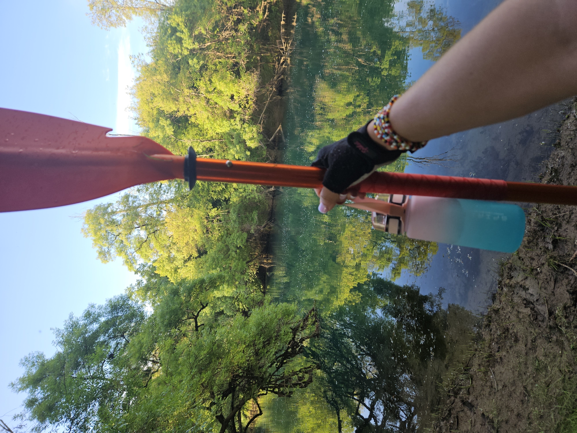 A first-person perspective image captures a serene outdoor scene, likely during a kayaking or canoeing trip. The main subject is a person's right arm and hand, clad in a black fingerless paddling glove, holding a red and orange kayak paddle. Around the wrist, a multi-strand, colorful beaded bracelet is visible. Attached to the paddle or boat is a two-tone water bottle, gradient fading from pink at the top to teal/blue at the bottom, with some faint white text or a logo on its side that is difficult to read.
The setting is a calm, reflective body of water, possibly a river or lake, bordered by lush green trees that cast clear reflections onto the water's surface. The water itself appears clear, showing some depth and reflections of the blue sky above. On the right side of the frame, a muddy bank with some sparse vegetation is visible. Above the tree line, the sky is bright blue with a few wispy clouds, indicating a clear and sunny day, likely morning or late afternoon given the quality of light. The overall atmosphere is peaceful and natural, suggesting an enjoyable recreational activity. No explicit text other than the faint markings on the bottle and a blurry logo on the glove is clearly legible.