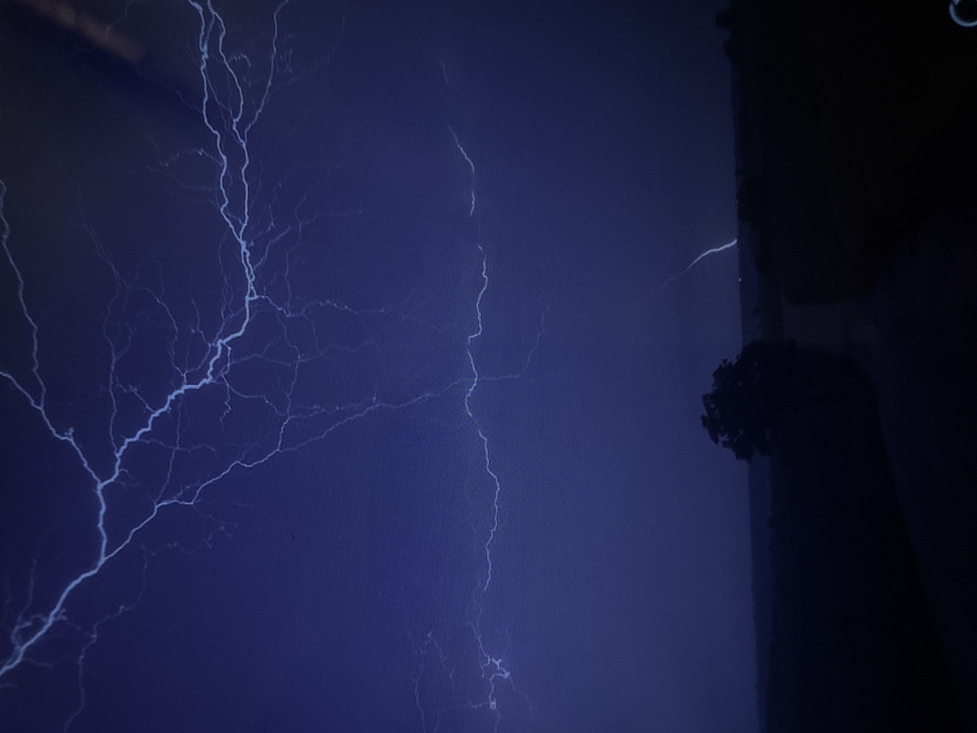 The image captures a dramatic night scene during a lightning storm in Varna, Bulgaria. The sky is dominated by intense, white-blue lightning bolts arcing and branching across a dark, deep blue backdrop. Multiple prominent lightning strikes are visible; one major, jagged bolt extends vertically and diagonally across the left half of the frame, while another distinct, more vertical strike appears slightly to its right. Numerous finer tendrils and smaller flashes of lightning illuminate the clouds.
On the far right side of the image, a dark, vertical structure, possibly a building or a large column, stands against the stormy sky. Its details are mostly obscured by darkness, but some texture is visible along its surface. Near the top of this structure, a dark, dense mass, appearing to be foliage or a small tree, is silhouetted against the dim glow of the sky.
The time of day is clearly night, characterized by the dark sky and the brilliant illumination provided solely by the lightning. The weather is stormy, with significant electrical activity. The scene evokes a sense of raw power and dramatic natural phenomena. There are no people or visible text in the image.