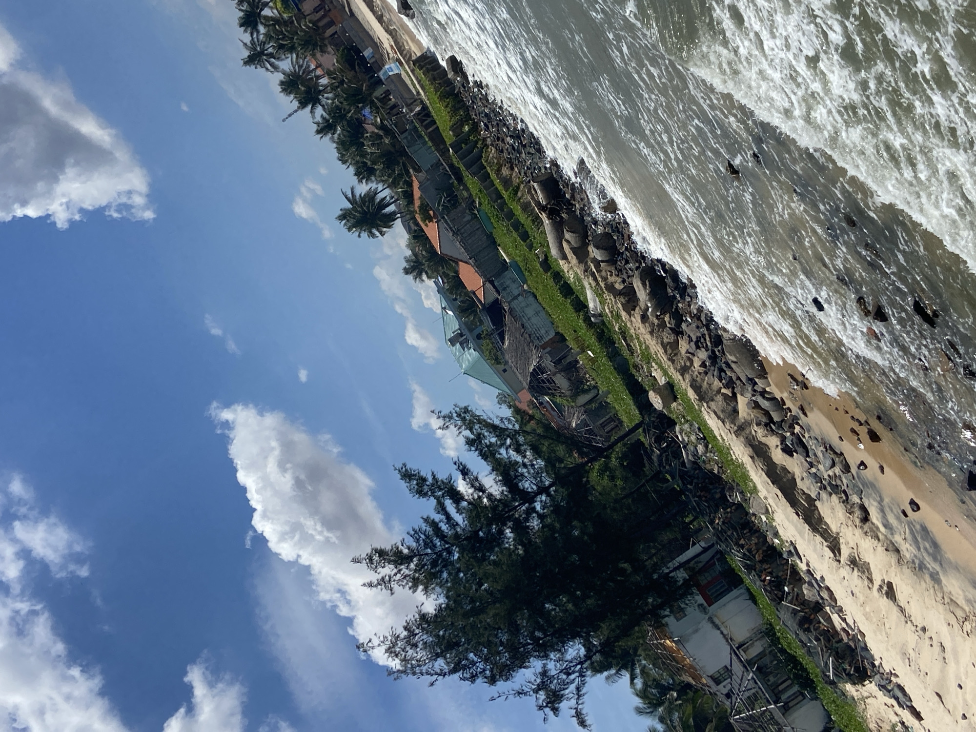 The image captures a coastal scene in Phu Thuy Ward, Vietnam, with the ocean on the right and a sandy beach leading to vegetation and buildings on the left. The sky is a vibrant blue with scattered white clouds. The water exhibits a moderate wave action with whitecaps, suggesting a dynamic sea state. The beach is composed of sand and numerous dark rocks, some of which are embedded in the shoreline.
Behind the beach, there is a strip of green grass and vegetation, interspersed with more rocks and some fallen logs. Several structures are visible in the background, appearing to be houses or small buildings with various roofing materials, including orange tiles and what seems to be corrugated metal or plastic on some. Some of the structures appear to be in a state of disrepair, with exposed framing and debris. Tall, dark green coniferous trees are prominent in the mid-ground, some reaching towards the sky. Palm trees are also visible further back, indicating a tropical or subtropical climate. The overall impression is of a coastal area that is experiencing some level of development or perhaps has been affected by coastal erosion or weather events. The lighting suggests it is daytime, likely mid-morning or afternoon, with the sun casting clear shadows.