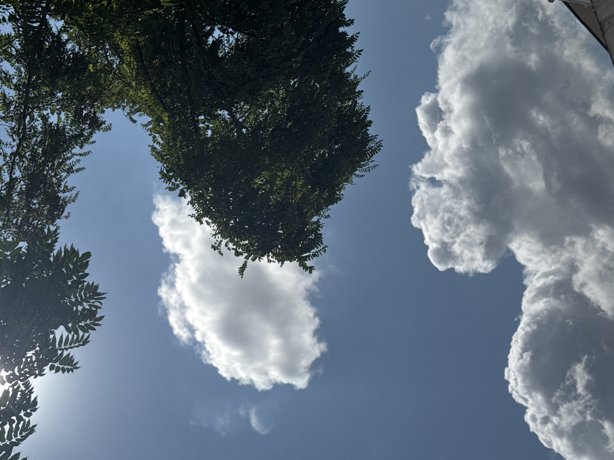 The image, taken in the city of Gungoren, Turkey, is an upward-facing shot of a blue sky with scattered white clouds. Lush green foliage from trees drapes into the frame from the top and right edges. The sunlight filters through the leaves, creating a dappled effect. In the lower portion of the frame, large, fluffy white clouds dominate the view, with the suggestion of a building's roofline peeking from the bottom right corner. There are no people or visible actions in the image.