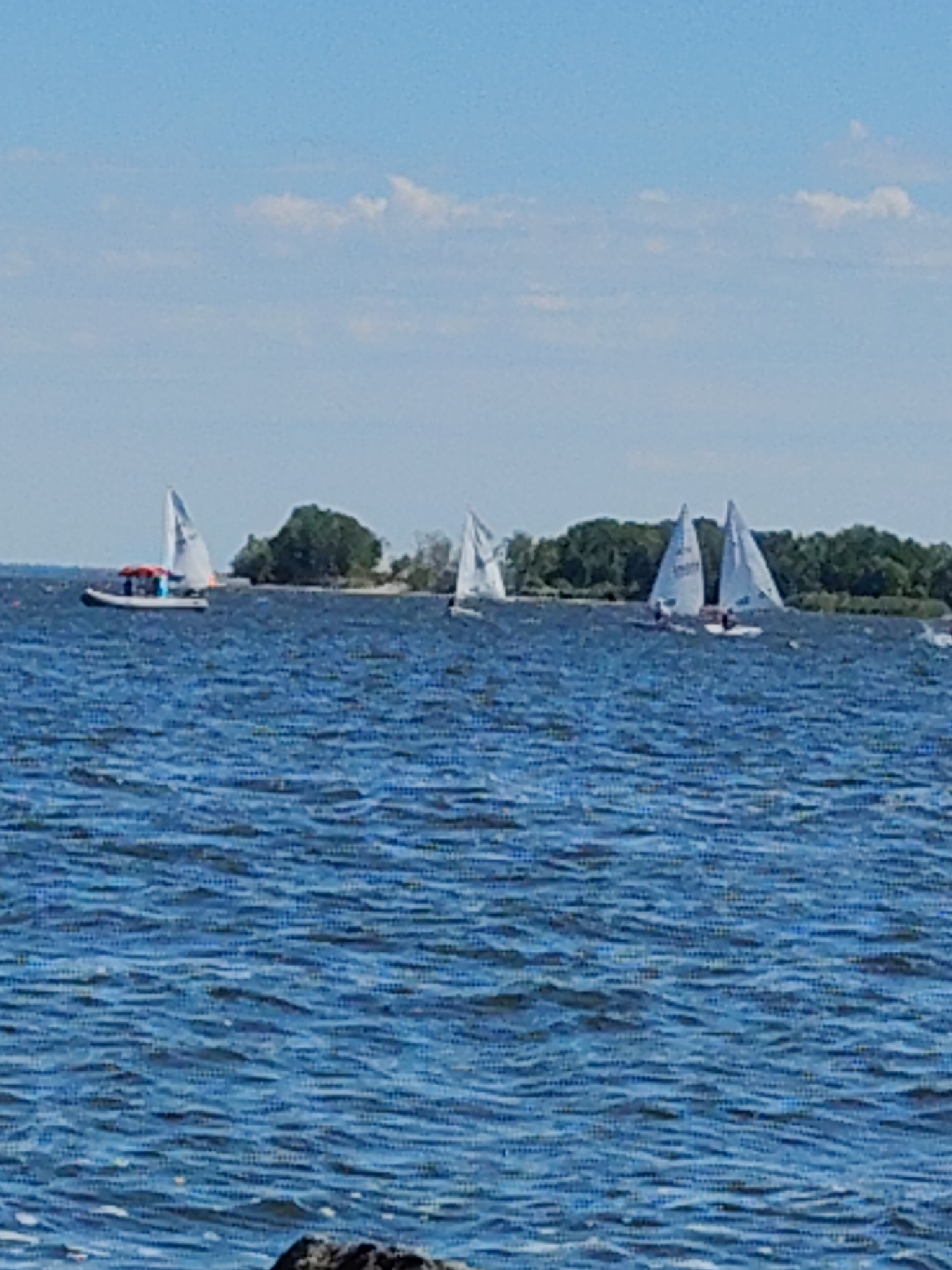 This is a photograph taken on the Dnieper River in Cherkasy, Ukraine, with a view of a small island in the distance covered with green trees. Several sailboats are on the water, some with white sails raised. One of the sailboats appears to be a dinghy with a red canopy and a blue outboard motor. The sky is blue with scattered white clouds. The water is choppy, with visible ripples and waves. In the foreground, there is a dark, rocky shoreline. The scene depicts a recreational activity on a sunny day.