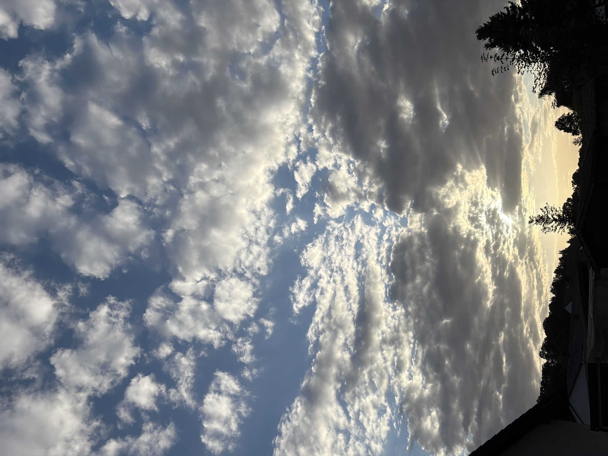 The image shows a partly cloudy sky with the sun setting or rising behind the clouds, casting a warm glow. The clouds are a mix of white and gray, with some areas illuminated by the sun and others in shadow. Below the sky, the silhouettes of trees and houses are visible, suggesting a suburban or rural setting. The scene appears to be peaceful and serene.