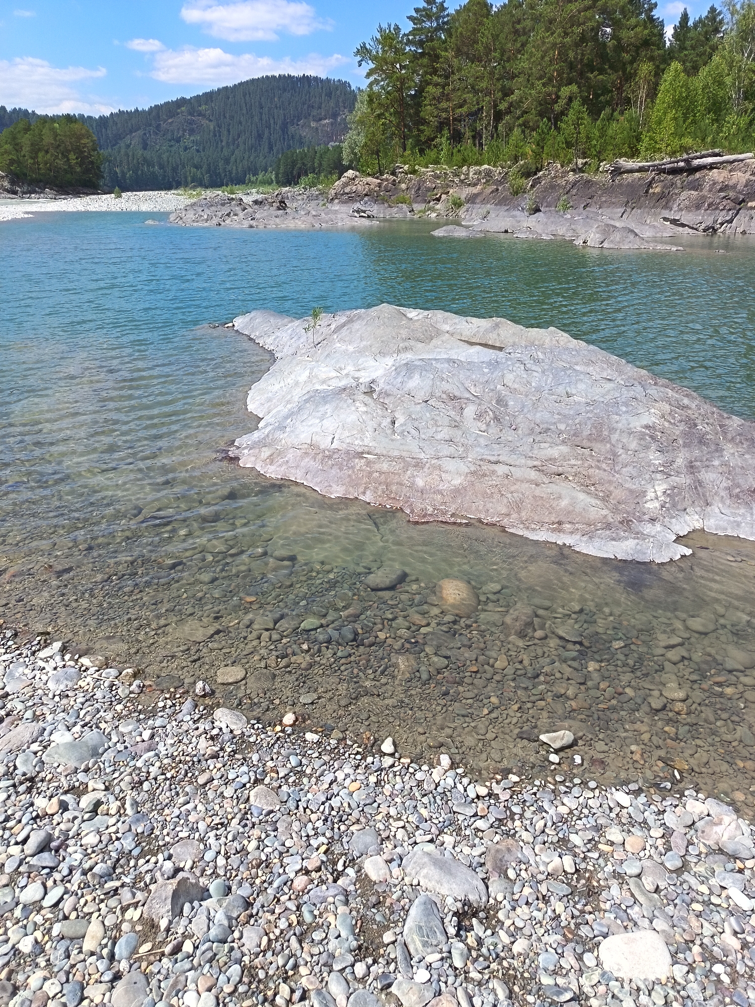A wide, clear river flows through a mountainous landscape in Nizhnekoyancha, Russia. The river is bordered by a rocky shore in the foreground, with smooth, multicolored pebbles filling the shallow water and extending onto the land. A large, flat, light-colored rock formation juts out from the water into the foreground. The river's surface is calm with gentle ripples. In the background, steep, forested mountains rise, covered with dense green pine trees. The sky above is a bright blue with scattered white clouds. The scene is bathed in sunlight, indicating a clear day. There are no people or animals visible in the image.