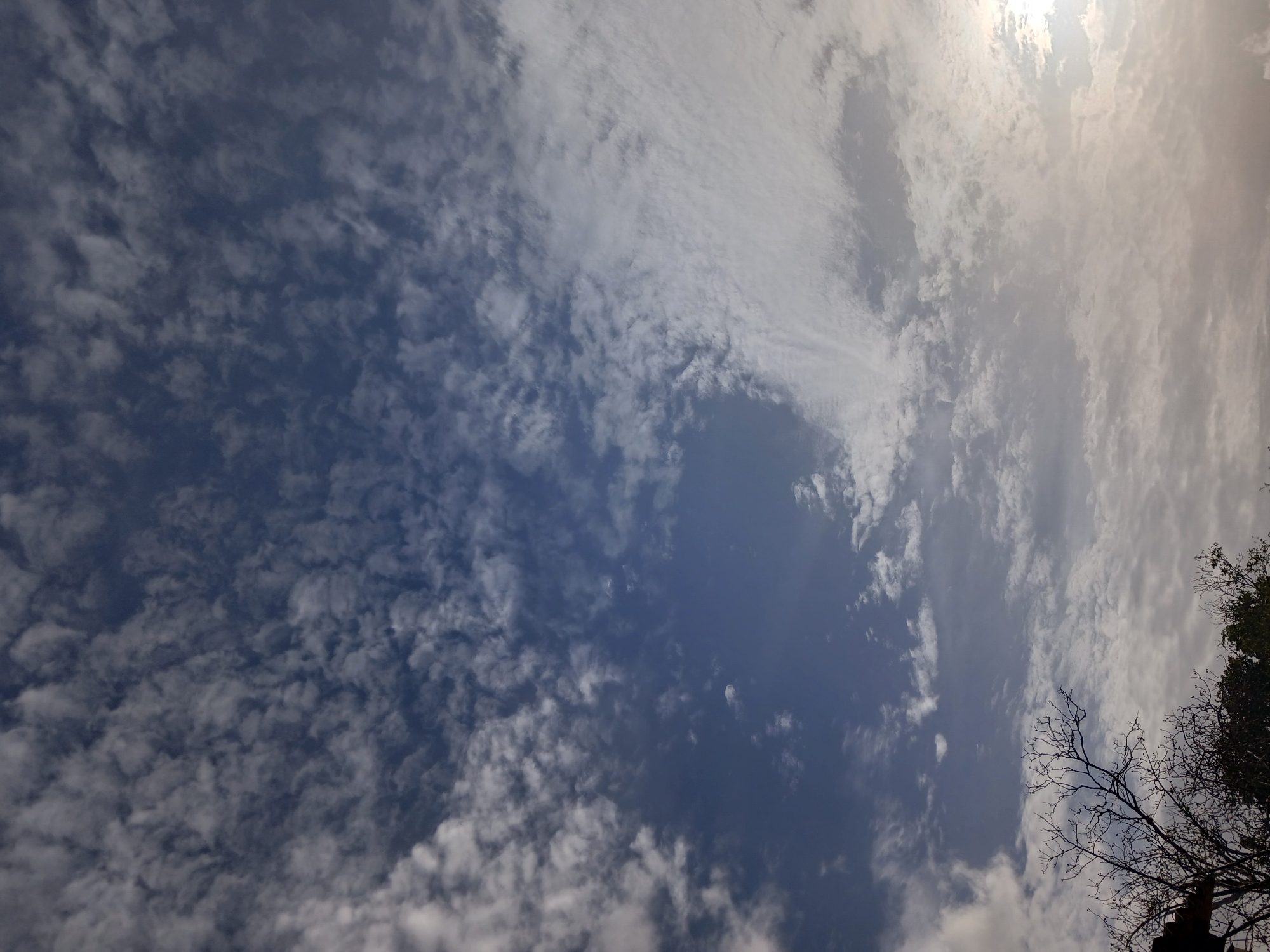 The image depicts a cloudy sky with a blend of blue and white hues, suggesting it was taken during daylight. The clouds are varied, with some appearing wispy and scattered, while others are more dense and textured. In the lower portion of the image, the dark silhouettes of tree branches and foliage are visible against the sky, indicating an outdoor setting, possibly within a park or natural area. The lighting suggests the sun is either rising or setting, casting a diffused glow. The environment appears to be a natural landscape, potentially on the outskirts or within a less urbanized section of Altagracia, Venezuela, characterized by the presence of vegetation.