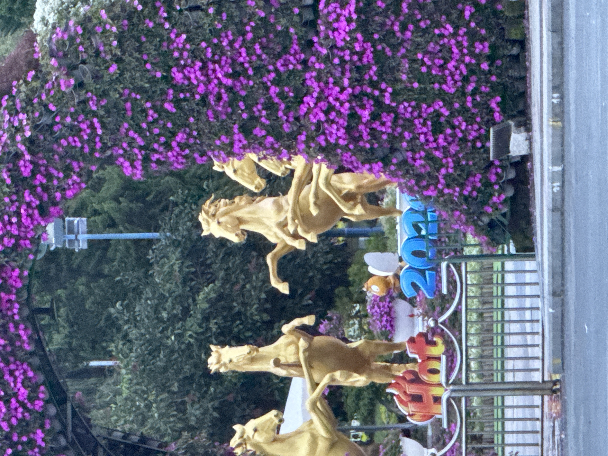 The image displays a vibrant outdoor scene, likely a public space decorated for a festive occasion. In the foreground, a metal fence with vertical bars separates the viewer from a paved area and a street. Behind the fence, a decorative display features several golden horse statues in dynamic poses, suggesting movement and energy. The horses are adorned with a floral arrangement of bright pink flowers, which also drapes over an archway and forms a large, densely blooming structure on the right side of the frame. In front of the horses, a sign with the word "Hot" in red and yellow lettering is visible, along with the blue numbers "2024". The background consists of lush green trees, indicating a park-like setting. The overall impression is one of celebration and natural beauty. The location is identified as Lâm Viên - Đà Lạt, Vietnam.