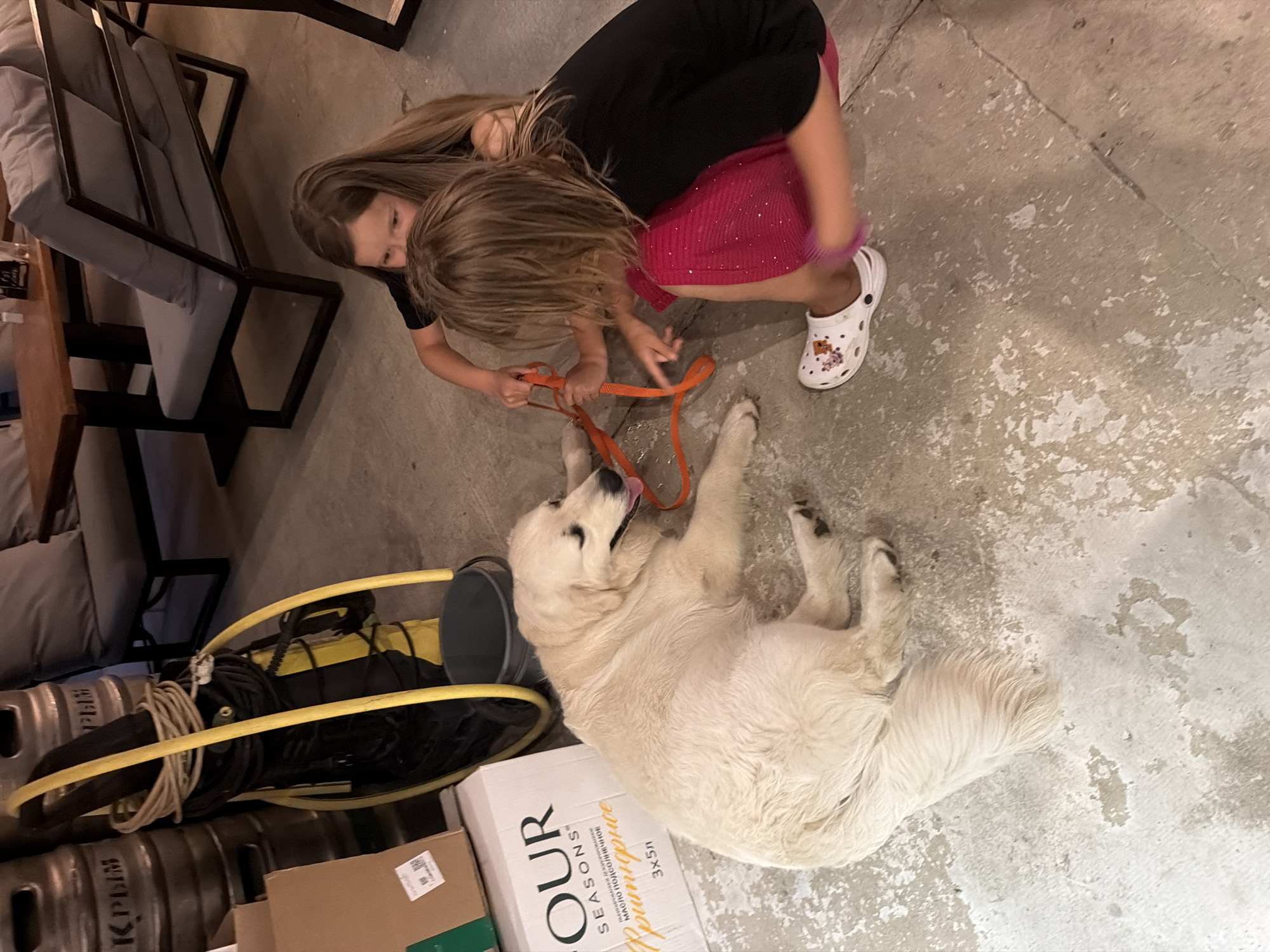 In Partenit, Ukraine, a cream-colored Golden Retriever lies on a concrete floor, its body partially obscured by an orange leash. Two young girls are interacting with the dog; one, with long brown hair, kneels behind the dog, her hands near its leash, while the other, also with long brown hair, is positioned in front of the dog, holding the leash. The dog appears relaxed, with its tongue slightly out and eyes closed.
The environment is industrial or storage-like, with large silver barrels stacked in the background. A yellow and black hose reel is leaning against the barrels. To the left, a cardboard box labeled "OUR SEASONS" is placed on the floor. The concrete floor is worn and shows signs of age. In the background, a wooden table and chairs with gray cushions are visible, suggesting a seating area. One of the girls is wearing a bright pink skirt and white Crocs with graphics.