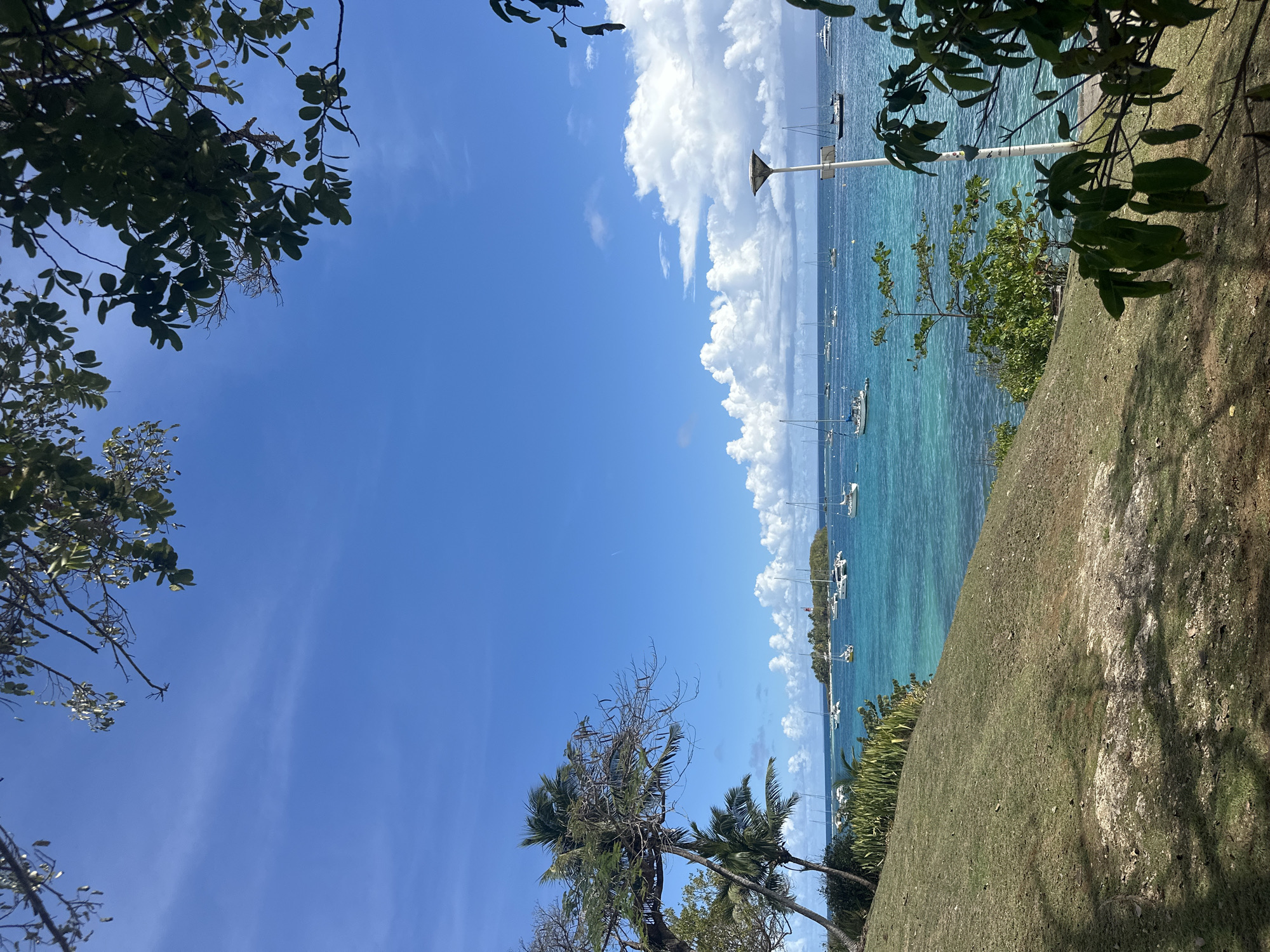 The image depicts a coastal view in Le Gosier, France. The sky is predominantly blue with some scattered white clouds. Below the sky, the sea stretches out, dotted with numerous sailboats and yachts. The water transitions from a light turquoise near the shore to a deeper blue further out. The shoreline is a mix of green vegetation and a grassy hill sloping down towards the water. There are trees framing the image on the upper left and right corners. A tall lamppost is visible near the shoreline. Palm trees are seen near the bottom.