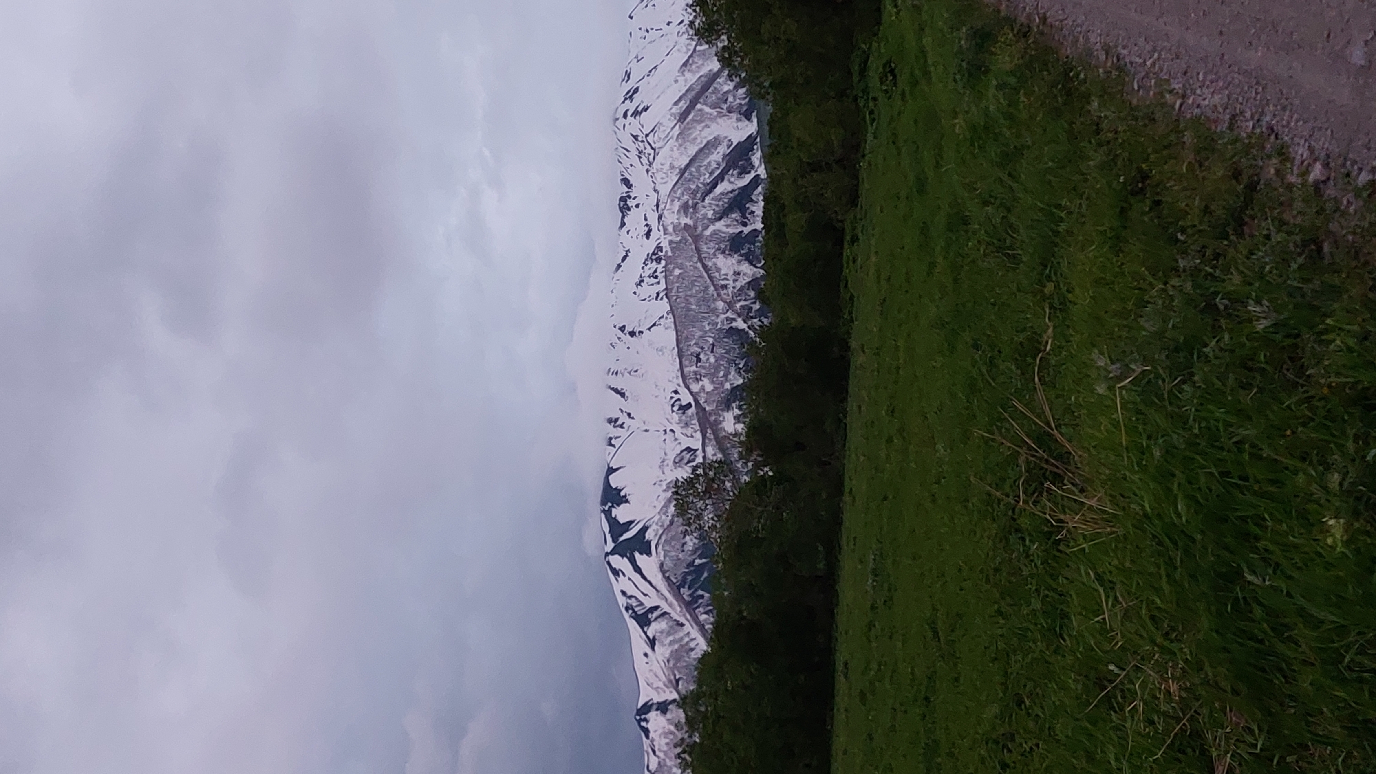 A wide, vertical shot captures a mountainous landscape under a cloudy sky. The foreground is dominated by a lush green field, with a dirt path visible on the right edge. A dark line of trees separates the field from the snow-capped mountains that form the background. The mountains are rugged and appear to be covered in patches of snow and exposed rock, with some bare trees clinging to the slopes. The sky is overcast with gray clouds, suggesting a cool or possibly damp day. The overall impression is one of natural beauty and remoteness. There are no people or man-made structures visible in the image, except for the path. The image is a landscape photograph taken in a natural outdoor setting.