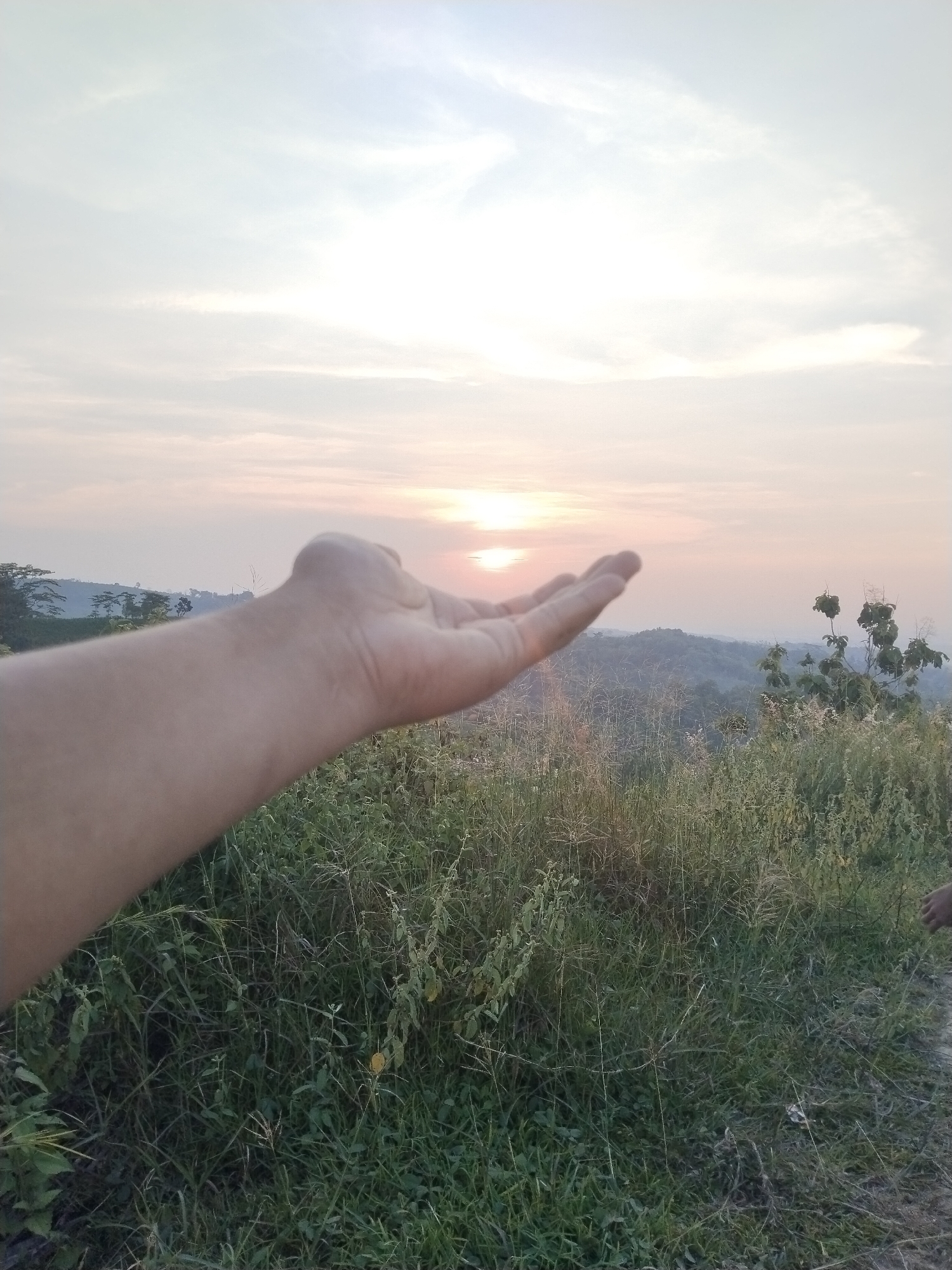 This photograph captures an outdoor landscape scene in Jambeyan, Indonesia, at either sunrise or sunset. A human left hand is prominently featured in the foreground, extended with its palm facing upwards, intentionally positioned to create the illusion of holding the low-lying sun. The sun, appearing as a soft, warm orb near the horizon, casts a diffused glow across the scene, indicating atmospheric haze or thin clouds.
The immediate foreground and midground are densely covered with wild green and yellowish-green grasses, weeds, and small bushes, suggesting a natural, untamed environment. In the background, rolling hills or mountains, covered in lush trees, recede into the distance under the soft light. The sky displays a gentle gradient, transitioning from subtle hues of pale orange, pink, and yellow near the horizon to lighter, washed-out tones of blue and white overhead. The overall atmosphere is serene and natural. No text is visible in the image.