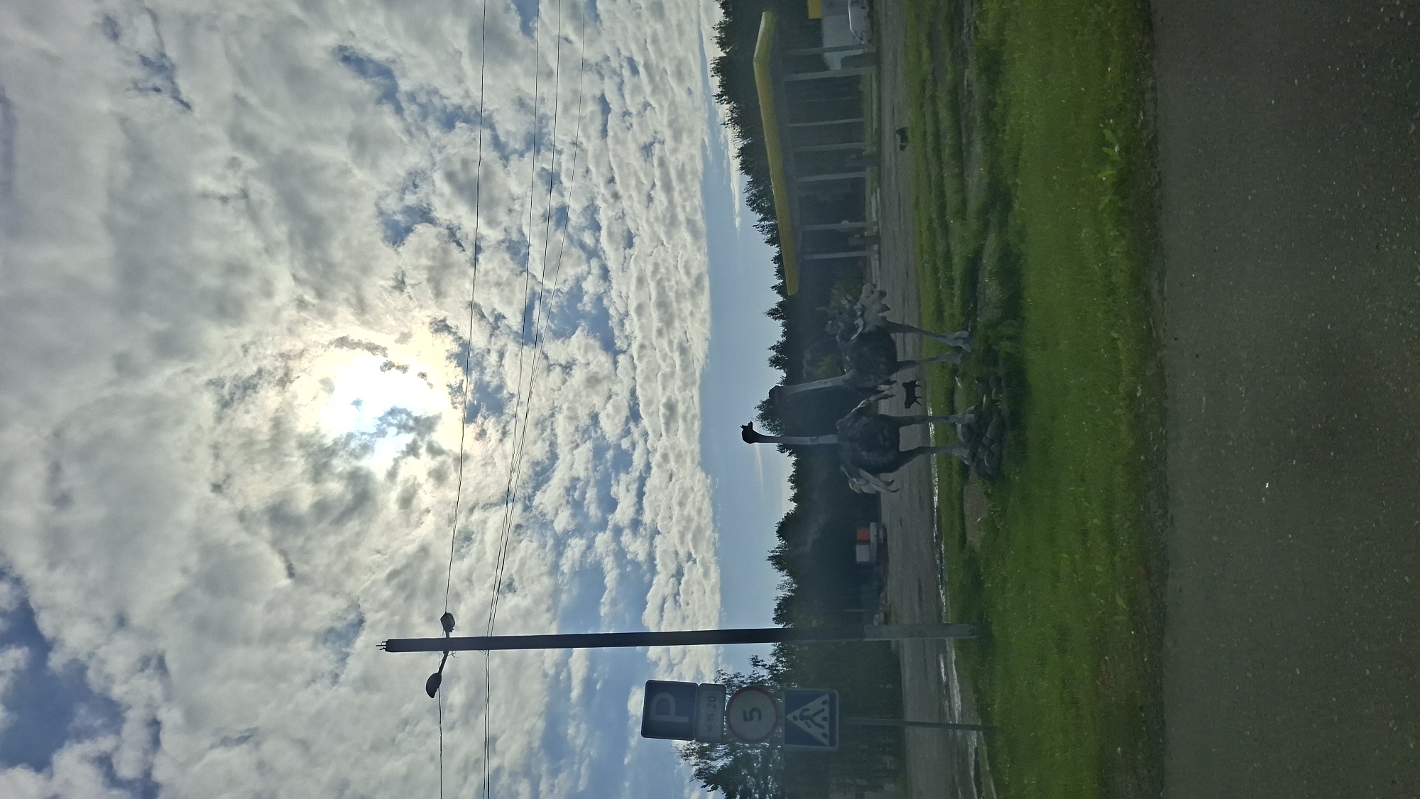 This is a medium shot, taken from a slightly elevated position, of an outdoor scene under a cloudy sky with the sun breaking through. In the foreground, there is a paved road. Beyond the road is a grassy area with two large ostrich statues, one on the left and one on the right, facing each other. Both statues are dark in color and appear to be made of some kind of molded material. A small black dog is visible between the legs of the ostrich on the left. Further back, behind the ostrich statues, there is a gas station with a yellow canopy. A dark line of trees forms the background. On the left side of the image, there is a tall pole with a street light and several signs attached. The signs include a blue square with a white "P" for parking, a circular sign with "15 20", a red circular sign with a white number "5", and a blue and white triangular pedestrian crossing sign. The sky is filled with dramatic, white, fluffy clouds, with the sun creating a bright halo effect. The overall impression is that of a roadside scene, possibly near a gas station or a tourist attraction, located in a rural or semi-rural area.
