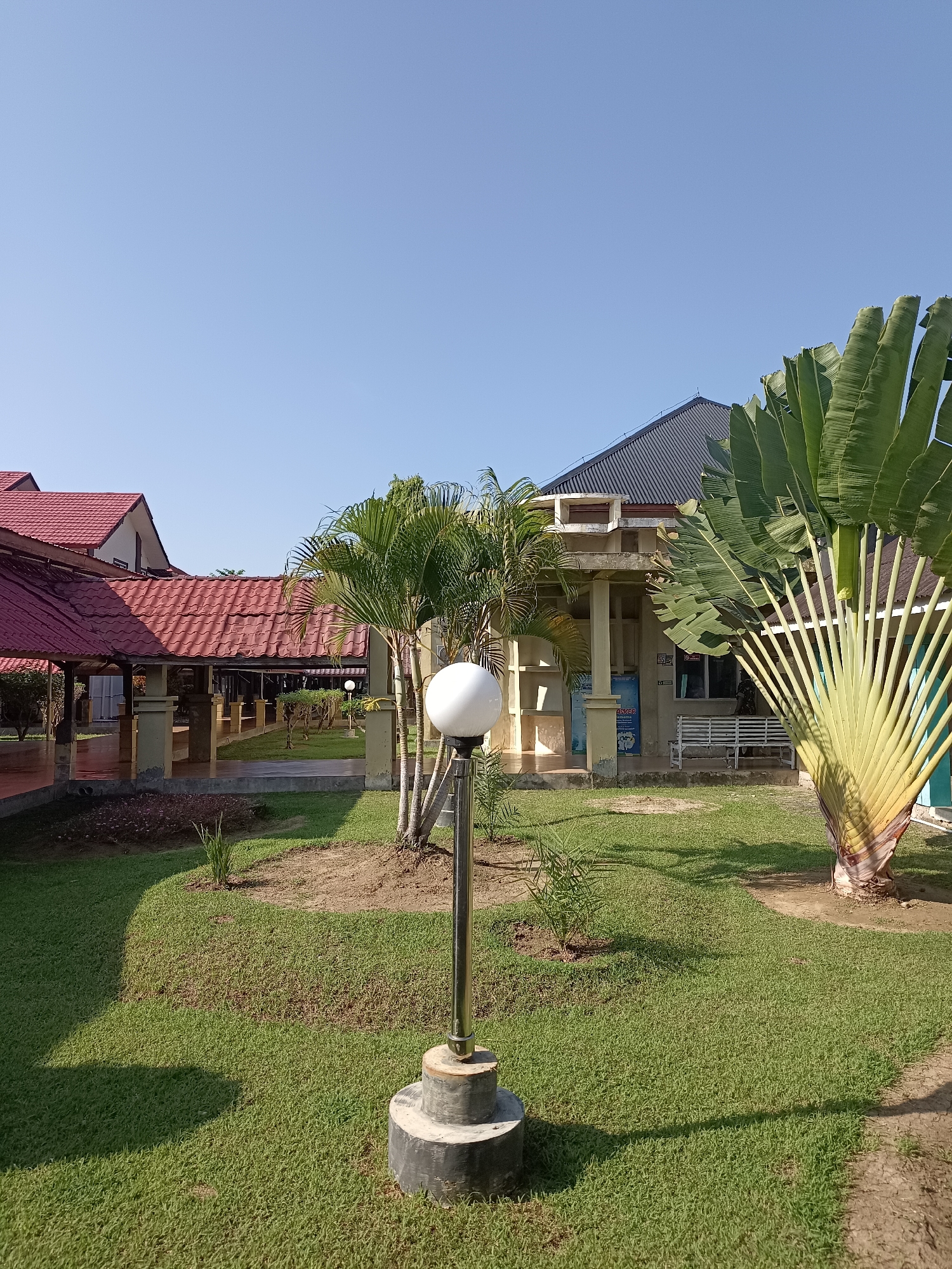 The image depicts a sunny outdoor scene with a clear blue sky. In the foreground, a well-maintained grassy lawn is visible, with a round, white light fixture on a metal pole positioned in the center. To the right of the light fixture, a large traveler's palm tree with its distinctive fan-shaped leaves dominates the frame.
Behind the lawn and palm tree, a building with a dark, sloped roof and light-colored walls stands. A covered walkway with red tiled roofs extends from the left side of the image, leading towards the building. Several palm trees and smaller plants are interspersed throughout the landscape. A white bench is visible in front of the building. The overall impression is one of a tropical or sub-tropical environment, likely a public space or resort, located in Mesjid Reuntoh, Indonesia, characterized by its lush greenery and clear, bright weather.