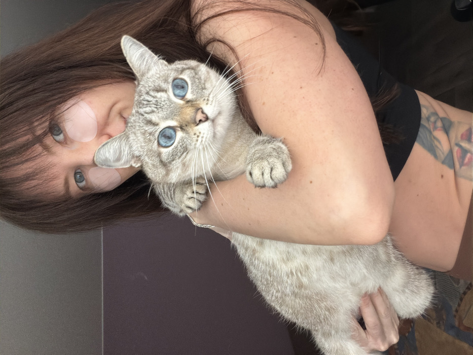 An indoor scene displays a partial view of a female subject holding a cat. The female has long, dark brown hair with bangs, light blue eyes, and two translucent pink under-eye patches applied to her facial skin. She wears a dark-colored top, and a multi-colored tattoo depicting a stylized face and lips is visible on her lower abdomen/hip area. A thin, silver-colored chain bracelet is present on her left wrist. She holds a light grey and tan tabby cat, distinguished by its bright blue eyes, which is positioned facing forward and looking directly at the viewer. The background consists of plain walls, one dark grey-purple and another lighter grey, suggesting a domestic interior. The scene is located in Perm, Russia.