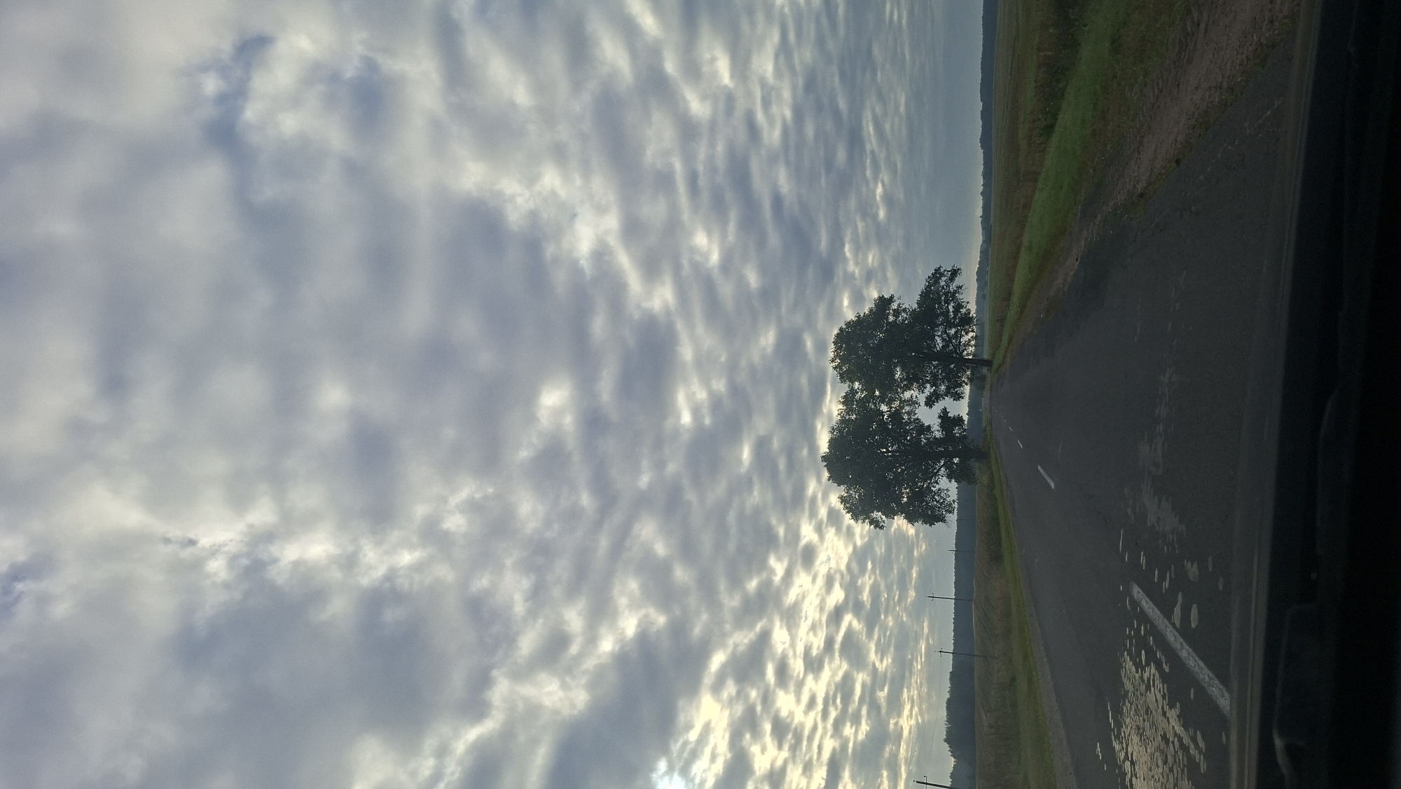 The image depicts a rural road in the Валкалацкі сельскі Савет, Belarus, under a cloudy sky. Two mature trees stand on either side of the asphalt road, which stretches into the distance. The road surface shows signs of wear and contains patches of wetness or reflection. On the left side of the road, there are fields and vegetation, and on the right, similar agricultural land is visible. The sky is filled with a complex pattern of grey and white clouds, with some brighter areas suggesting sunlight breaking through. The foreground shows the dark silhouette of what appears to be the dashboard or hood of a vehicle, indicating the image was taken from a moving car. There are no people or animals visible in the scene.