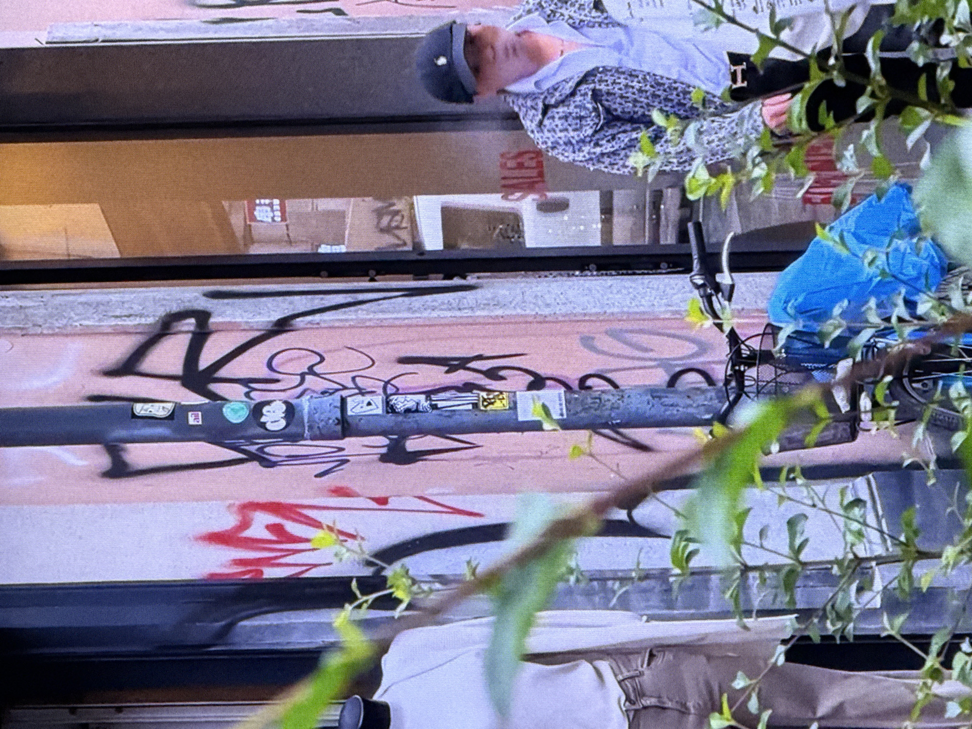 In this close-up outdoor shot, a man wearing a dark cap with a white logo, a light blue collared shirt, and a patterned jacket stands to the right of a storefront. The storefront's glass door is open, revealing a light-colored interior with reflective surfaces. Red lettering on the glass reads "SALES." To the left of the storefront, a mannequin is partially visible, dressed in a white top and tan pants. A bicycle with a bright blue cover over its basket is parked to the left of the man. The wall behind the mannequin and extending to the right of the door is covered in graffiti, predominantly in black and red. A metal lamppost with several stickers is positioned in front of the graffiti. In the foreground, out-of-focus green foliage obscures parts of the scene. The scene appears to be in an urban environment, given the storefront, lamppost, and graffiti.