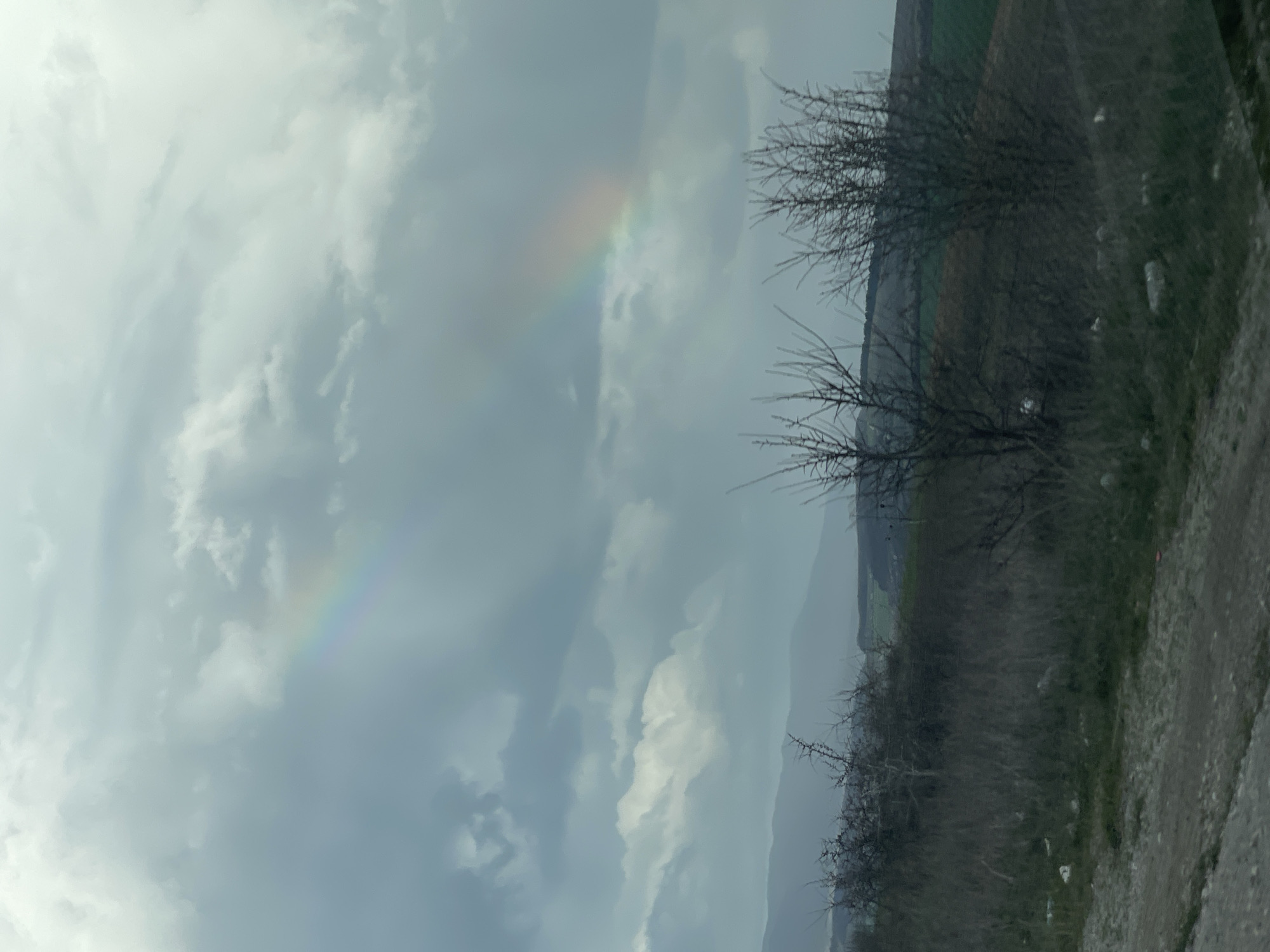The image depicts a landscape with a prominent rainbow in the cloudy sky. To the right, there is sparse vegetation, including bare bushes. A field is visible in the distance. The ground appears to be covered in gravel. The location is Belomortsi, Bulgaria.