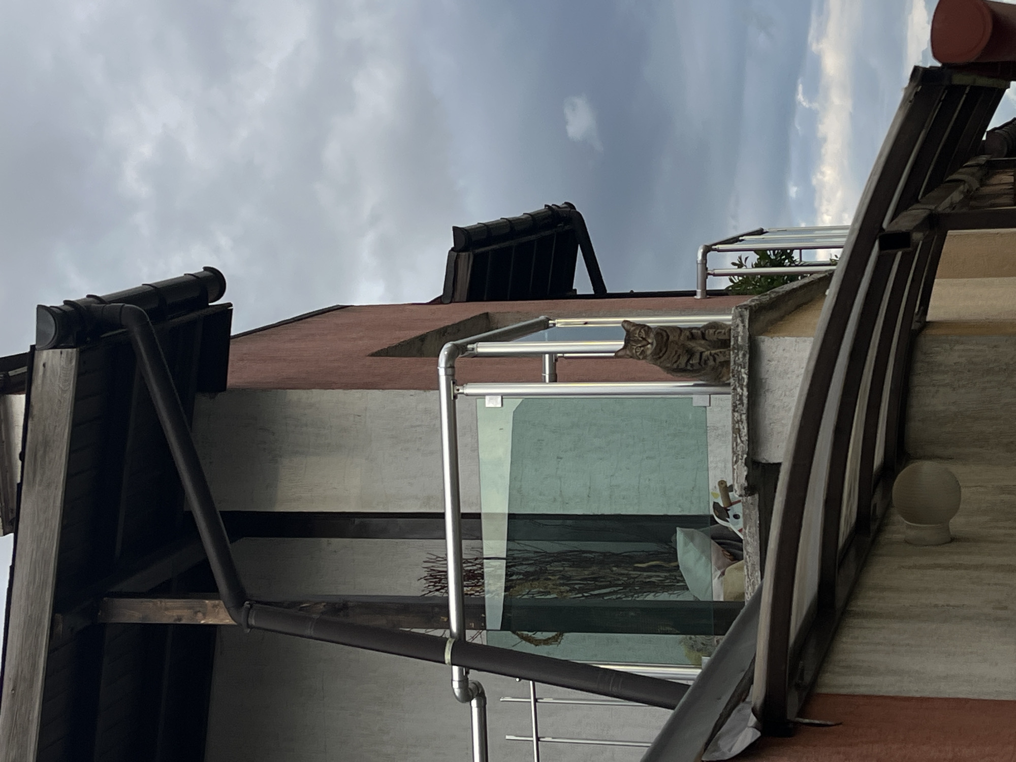 An outdoor, upward-angled photograph taken in Sofia, Bulgaria, captures a tabby cat resting on a narrow ledge or balcony railing under a cloudy sky. The image is oriented with the "ground" to the left, giving a unique perspective.
The primary subject is a striped brown and grey cat, seen from above, lying down on a light-colored concrete ledge, peering towards the right side of the frame. Below the cat and extending across the mid-ground is a modern-style balcony railing with clear glass panels. Through the glass, some dried branches or decorative elements are visible inside what appears to be a room or enclosed balcony area.
Architectural elements dominate the rest of the scene. To the left, a dark, possibly wooden, structure with a rain gutter system is prominent, suggesting an overhang or a lower section of a building. To the right of the cat, part of a building with a reddish-brown tiled roof or wall section is visible, along with a dark, curved structure and a spherical outdoor light fixture attached to a wall. The building walls are rendered in shades of reddish-brown and muted grey/white. The background is filled with a vast, overcast sky, indicative of cloudy daytime weather. No visible text is present.