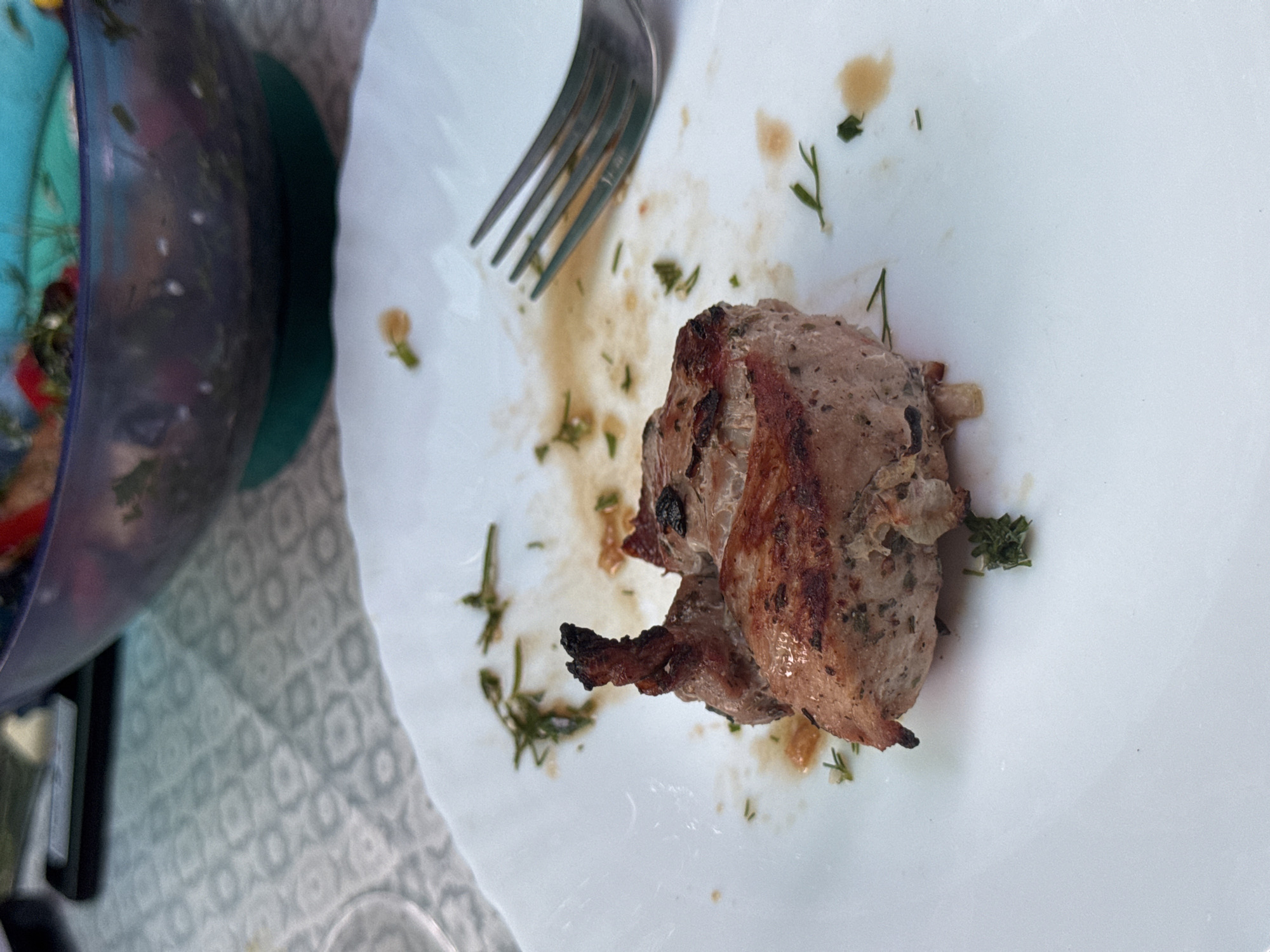 A close-up, eye-level shot captures a partially eaten piece of grilled meat on a white plate. The meat, a light brown with darker seared edges and visible herbs, is positioned slightly left of center. A fork rests to the right of the meat, with its tines pointing towards the upper right. The plate is speckled with remnants of the meal, including small green herb fragments and droplets of sauce. In the blurred background, a large, dark bowl containing a salad with colorful ingredients sits on a patterned tablecloth. The scene is likely a dining setting, possibly outdoors due to the natural lighting. There are no people visible in the image.