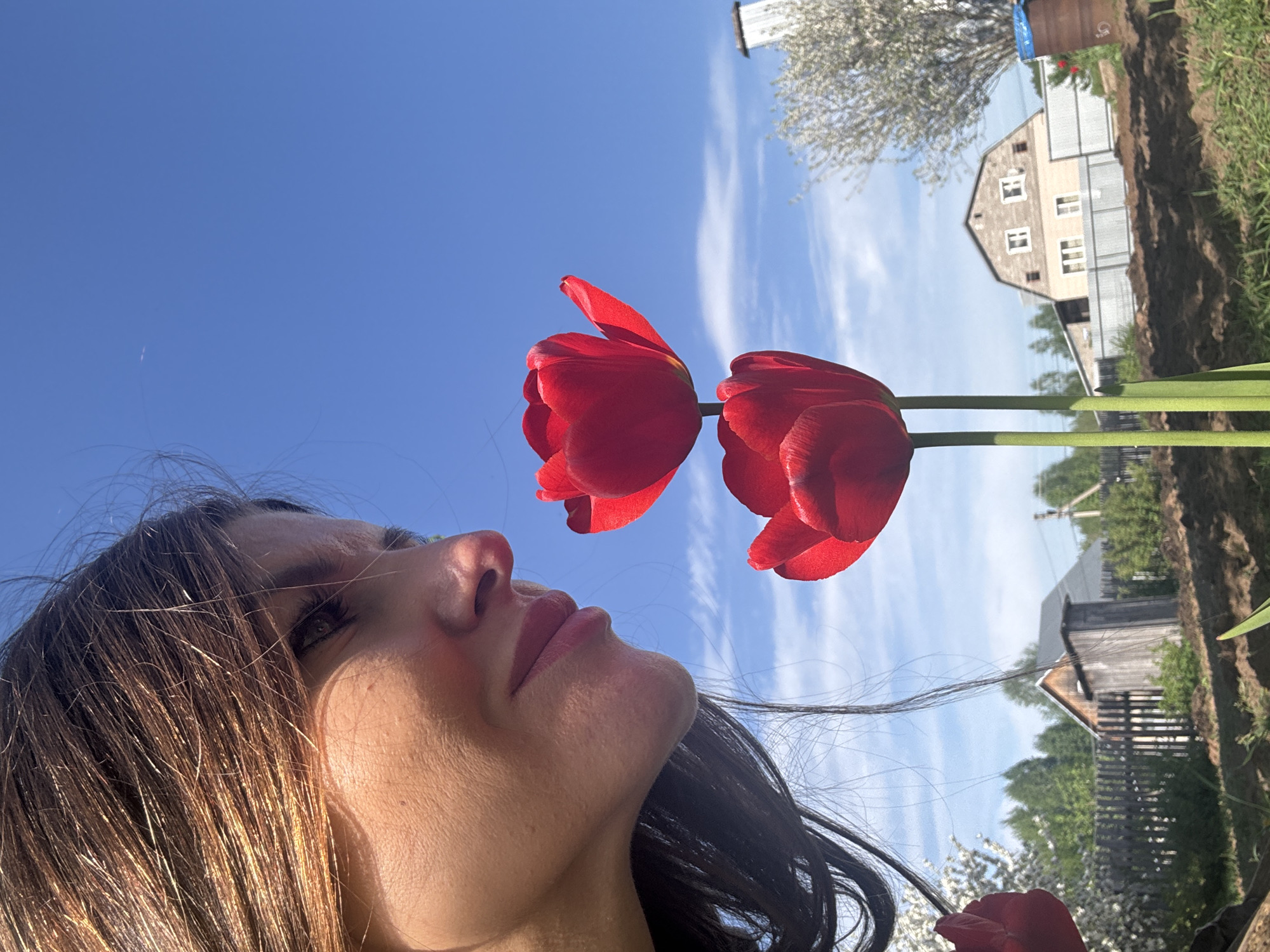 A woman is pictured from a low angle, looking up at two red tulips. The backdrop features a blue sky with wispy clouds, along with elements of a rural setting including buildings and greenery. Given the location provided, Dubovaya, Russia, these are likely structures and flora typical of a Russian village or countryside.